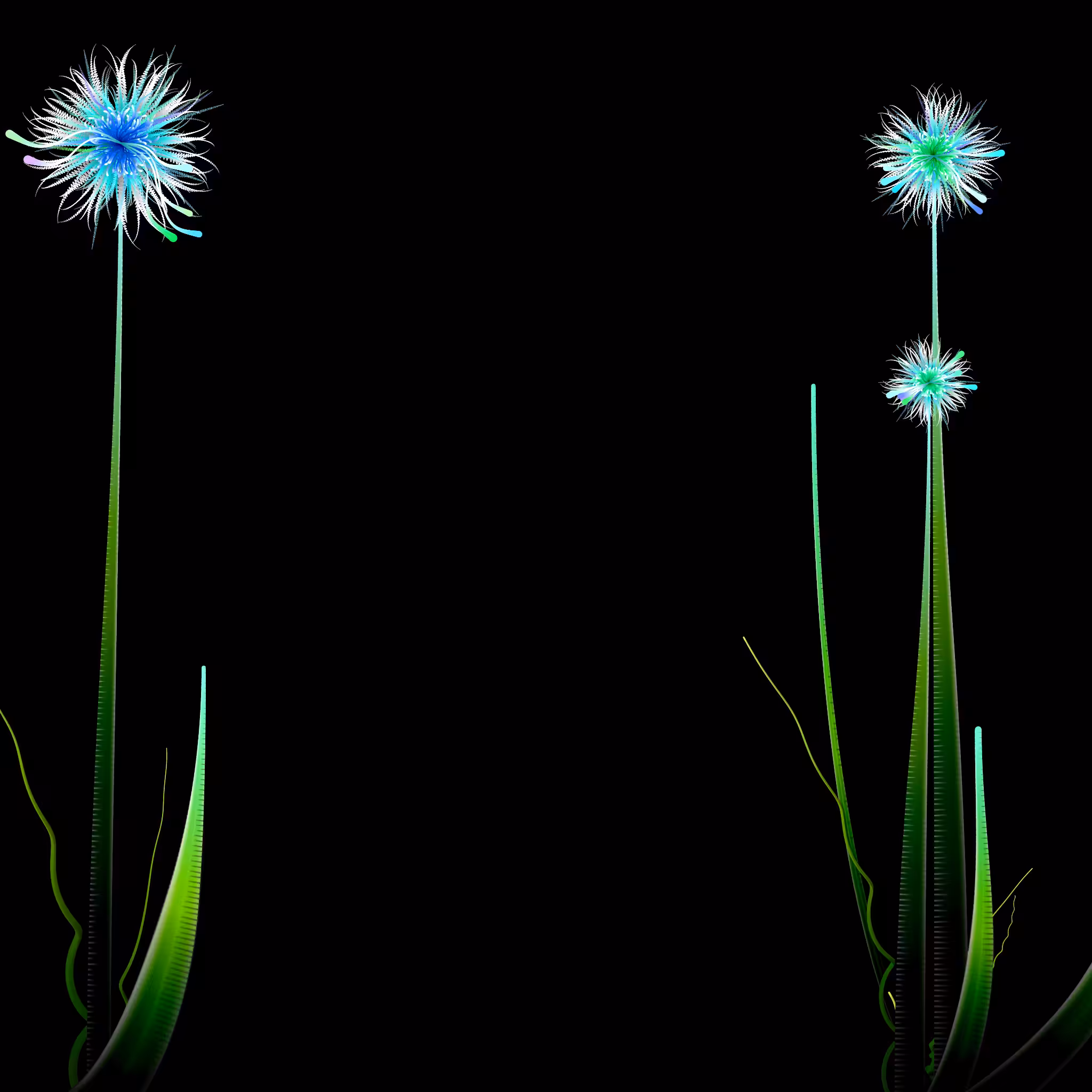 Milena’s Flowers #42