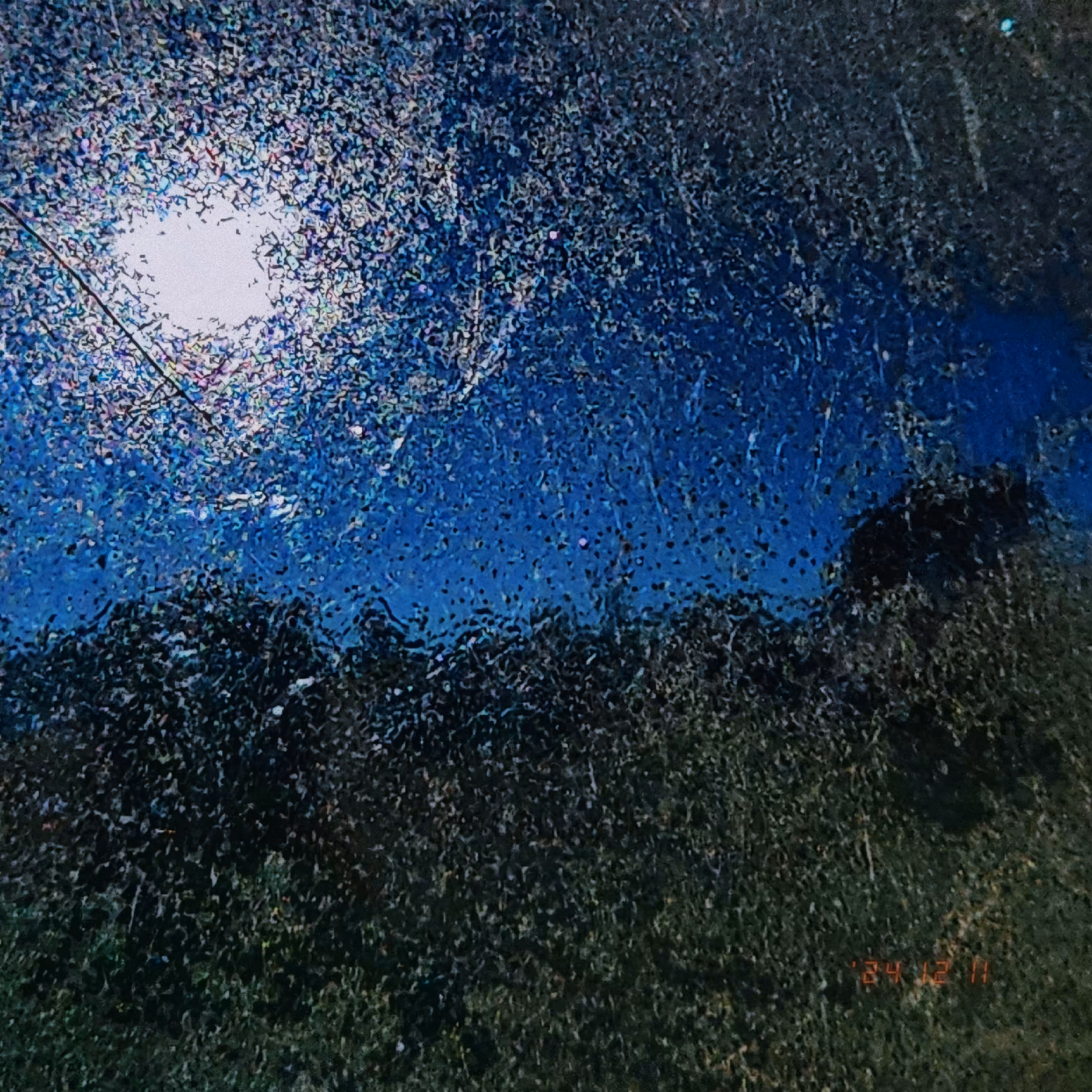 :a Visual Odyssey:: Day 346/365