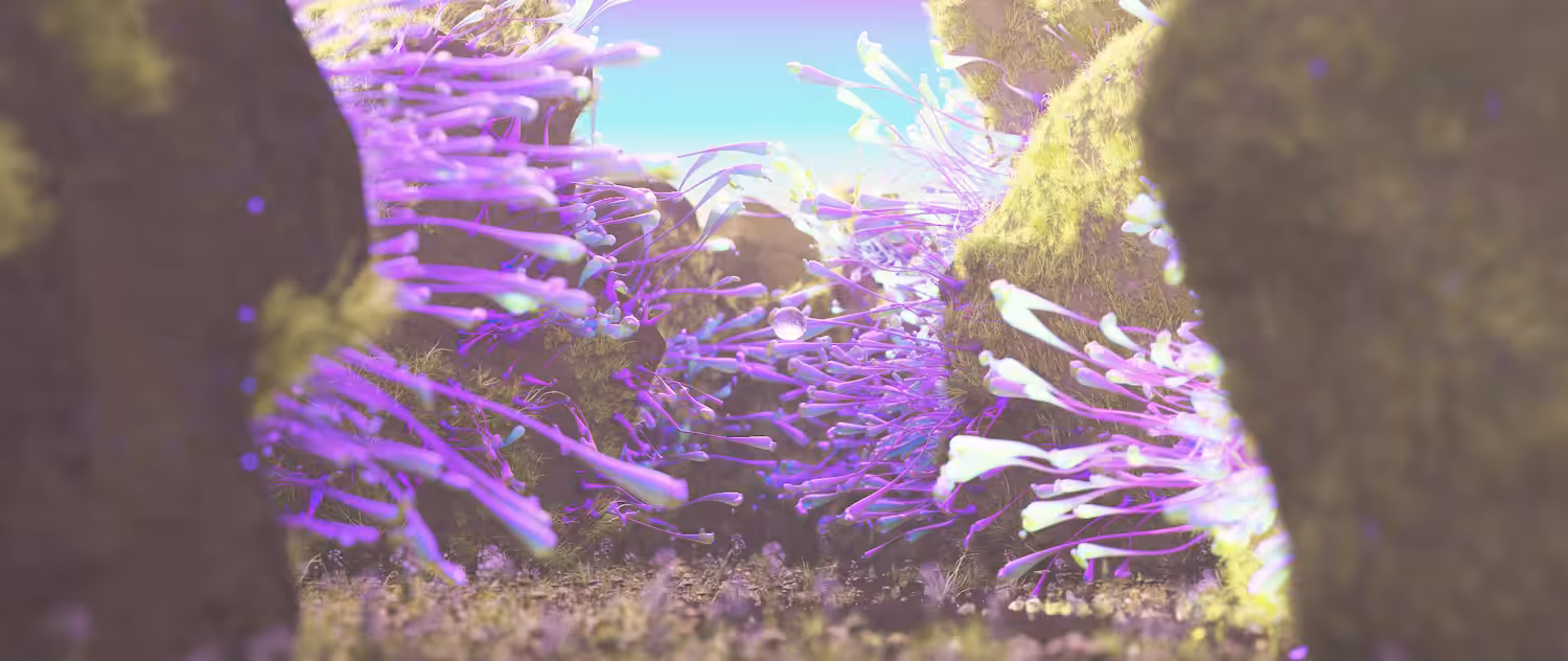 The Hive I