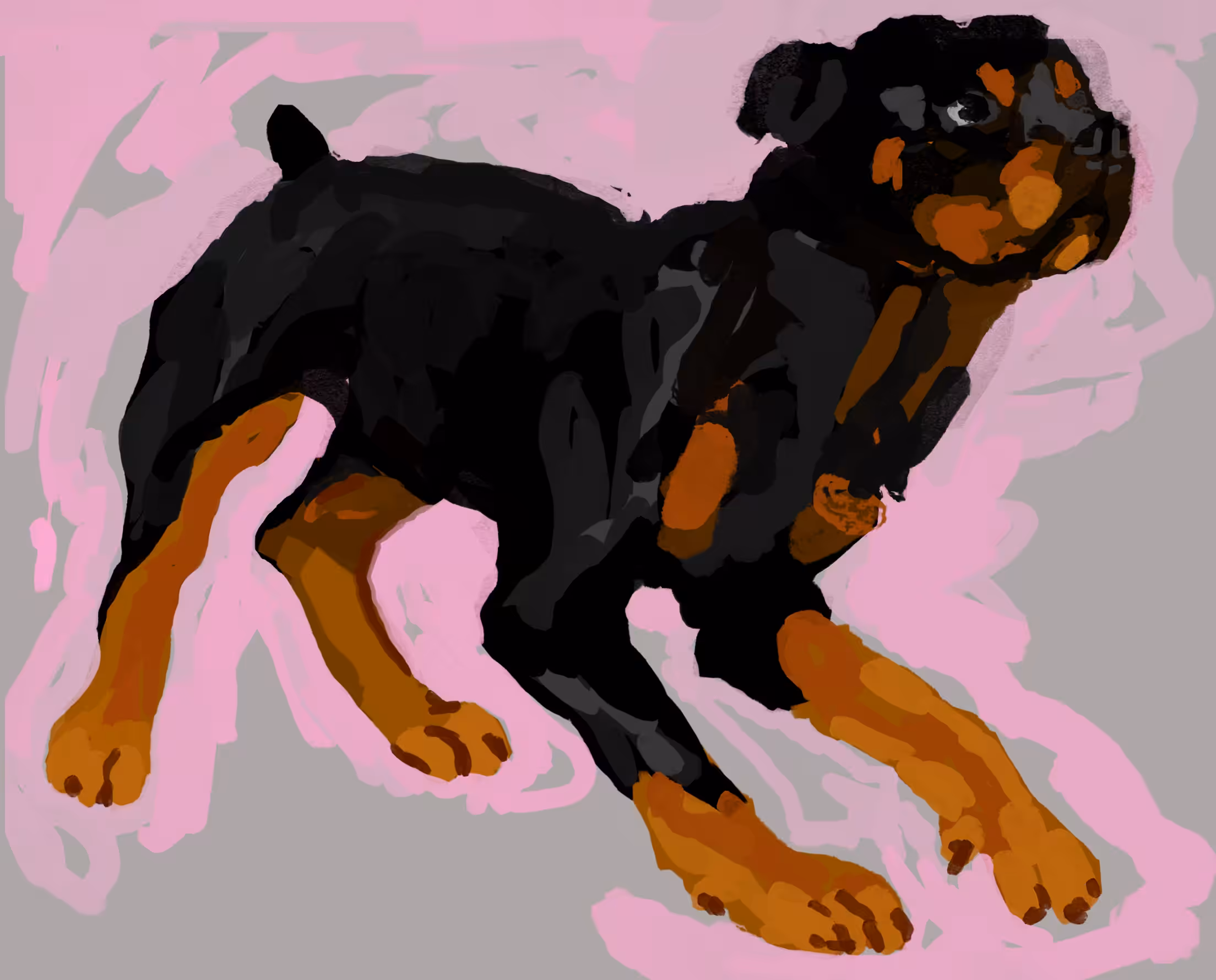 Day 11 Rottweiler 