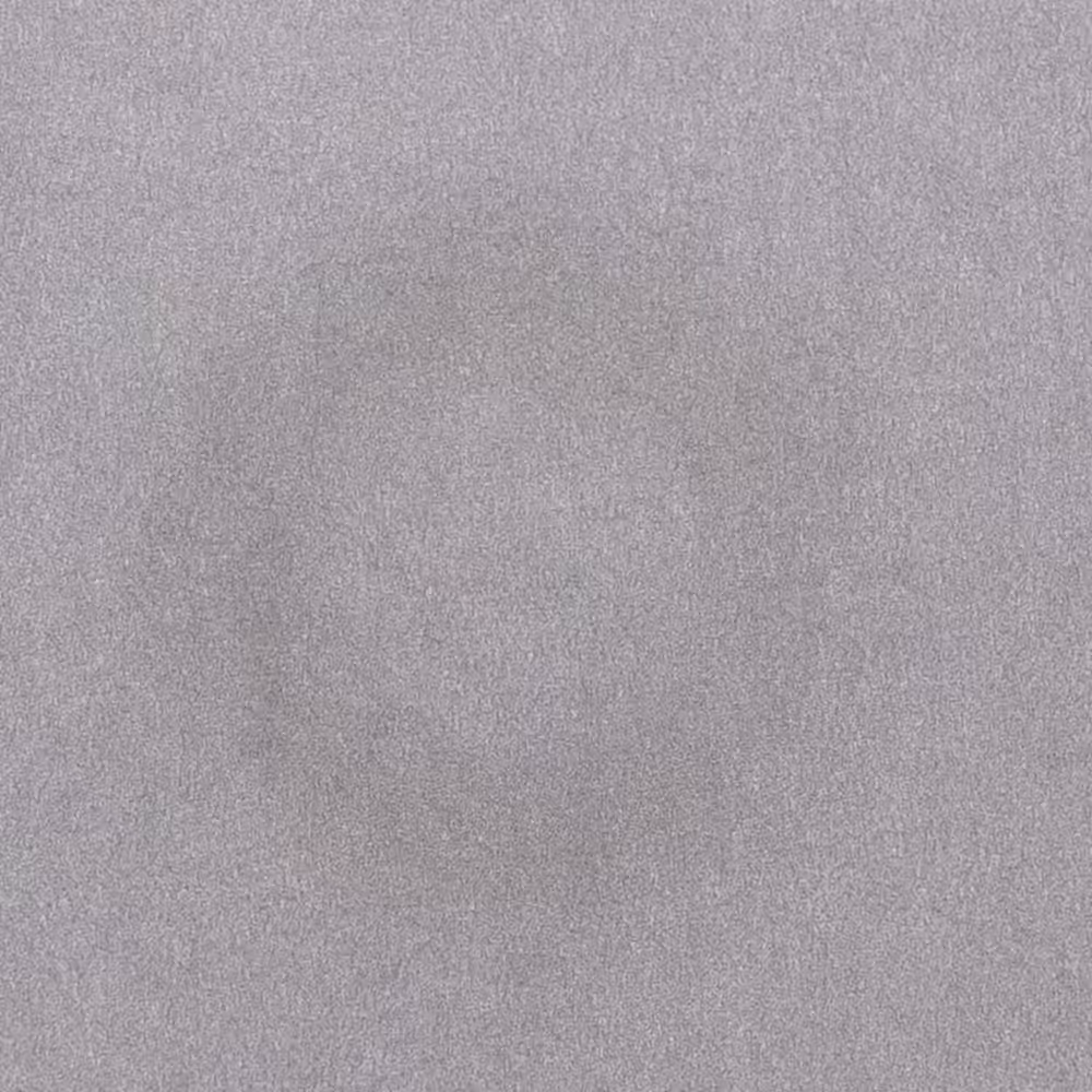 Ensō Water Painting #76