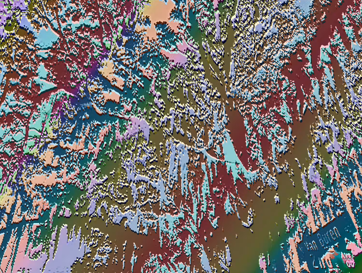 Life in Color Savanna Series Spectrum by Miguel Paredes