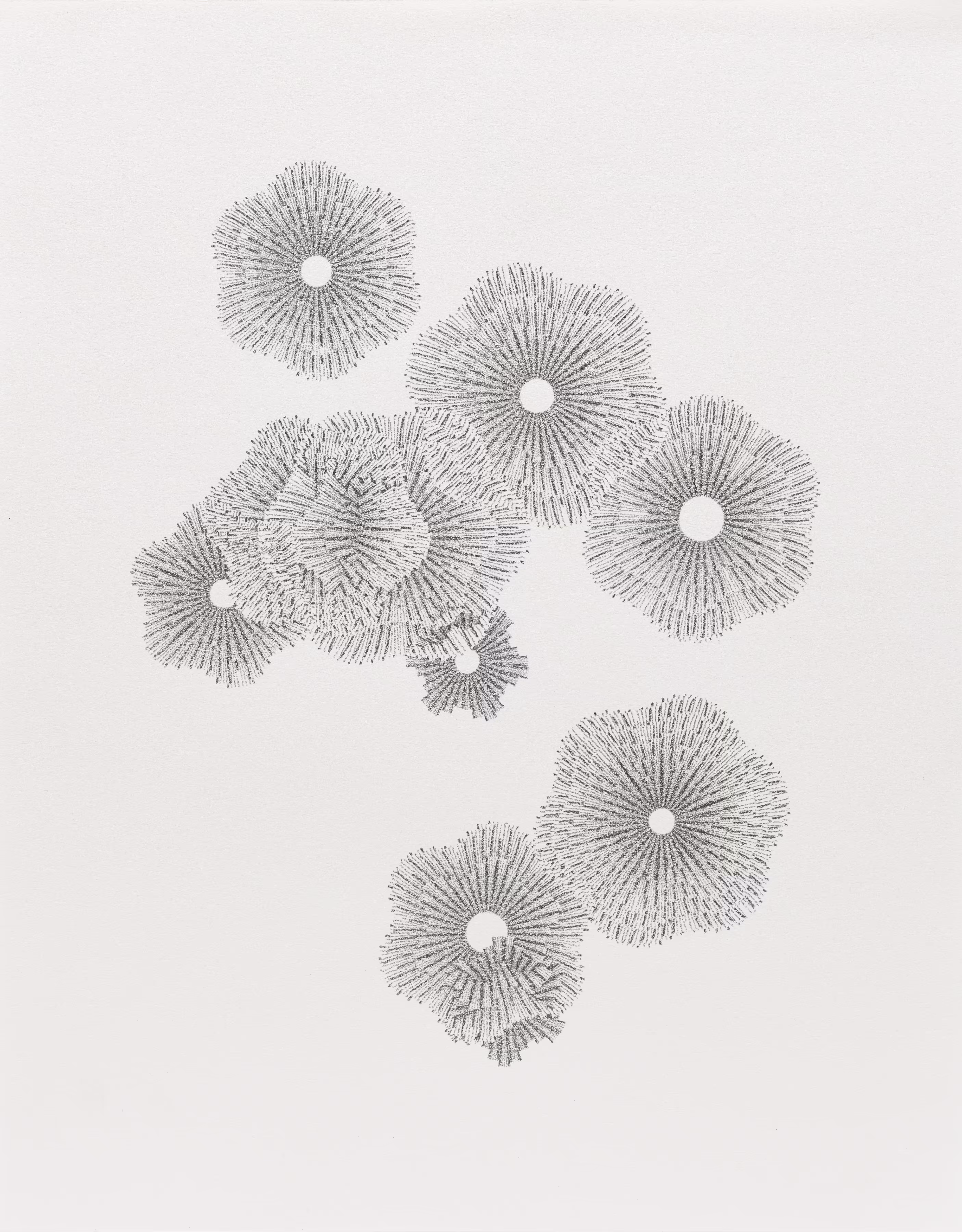 Ribbons: Floral Arrangement #1
