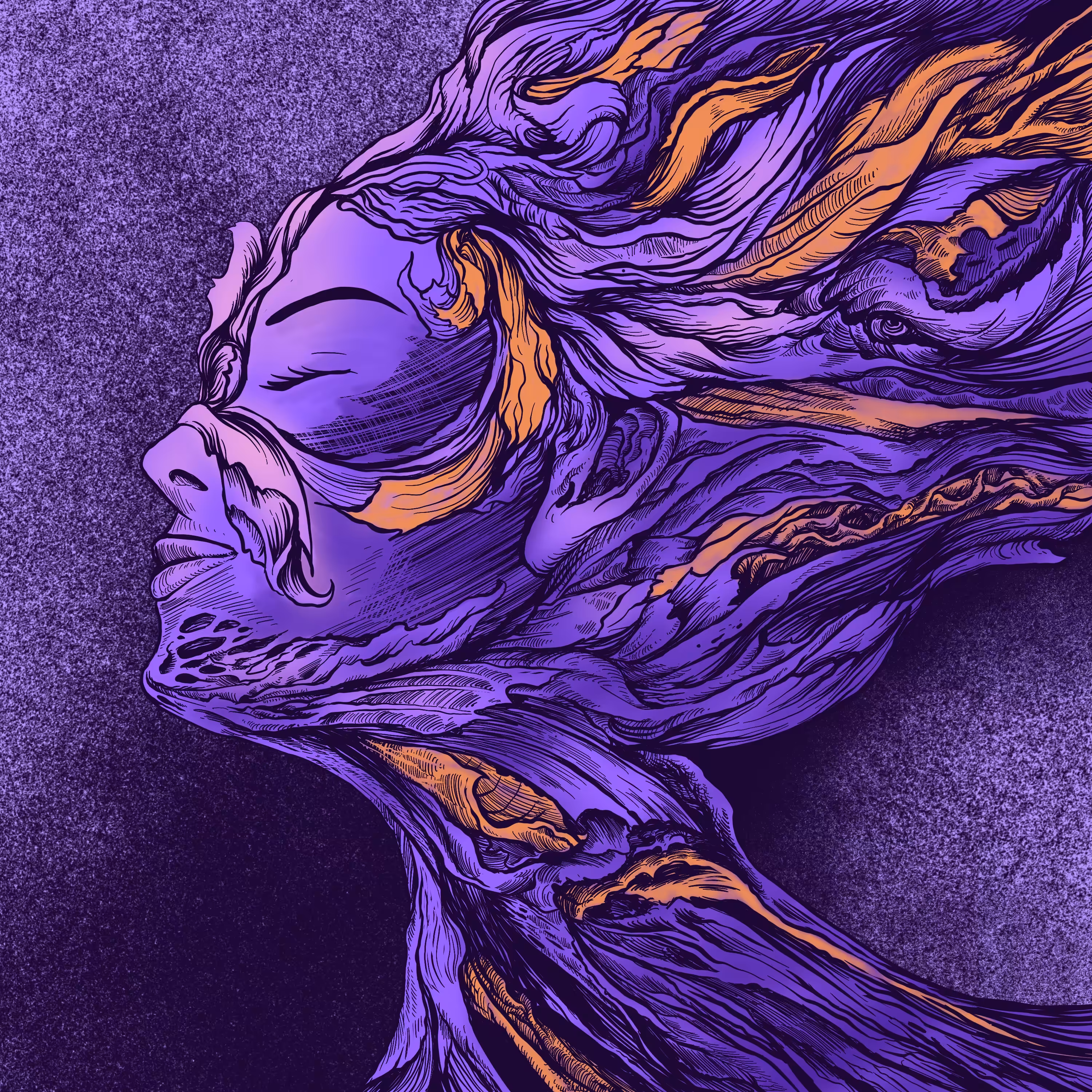 hidden face