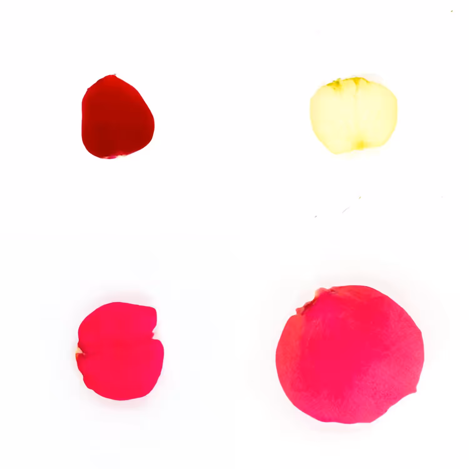 Infinite Petals 2x2#3616