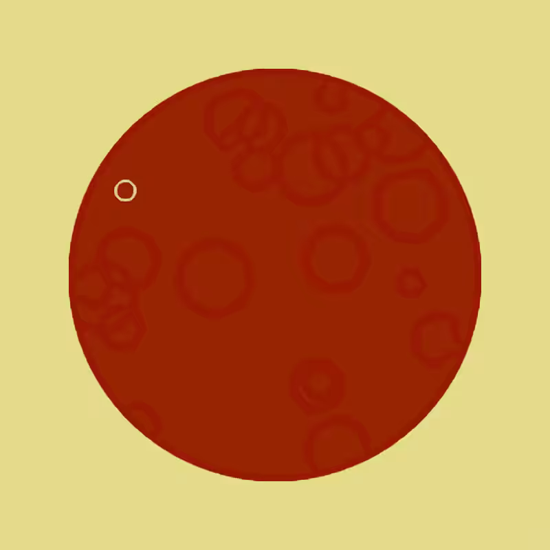 Cheap Petri Dish #44
