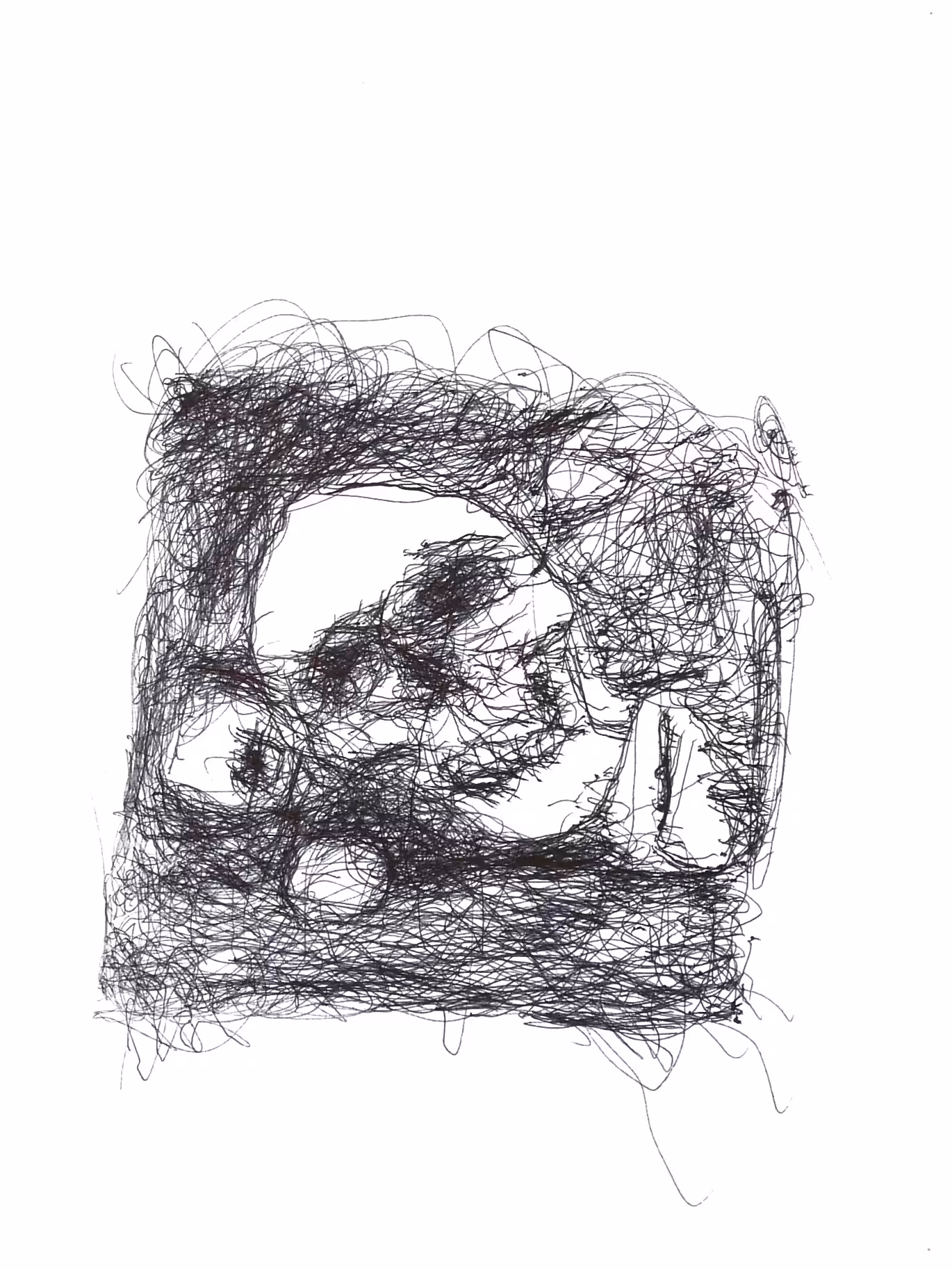 Vanité, Janvier 2016