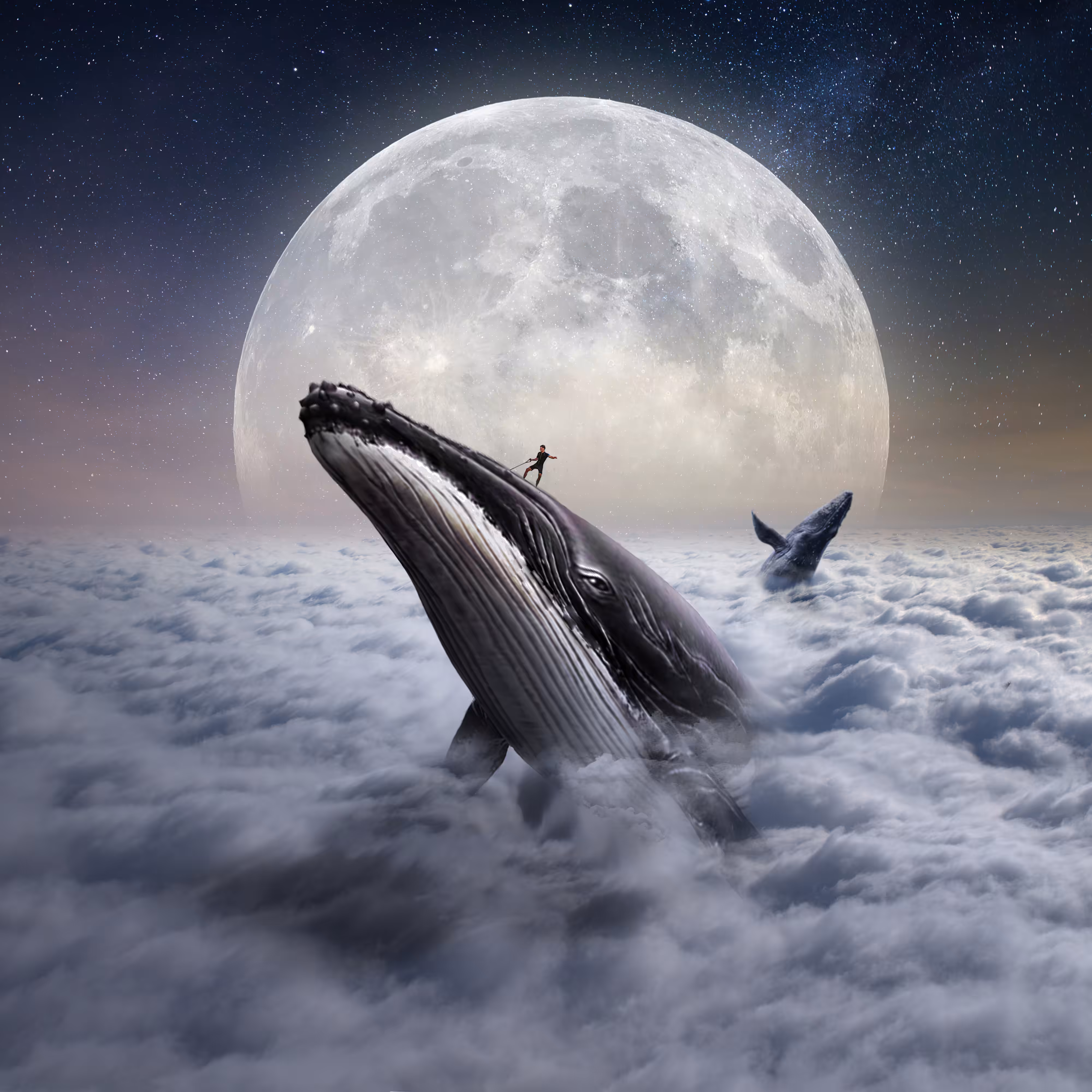 The Whale Surfer