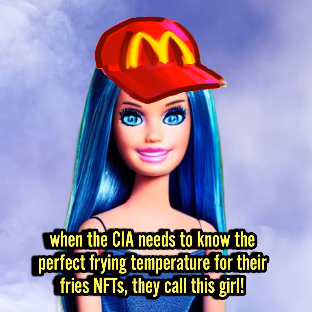 Jessy: the Fries NFT specialist working with the CIA