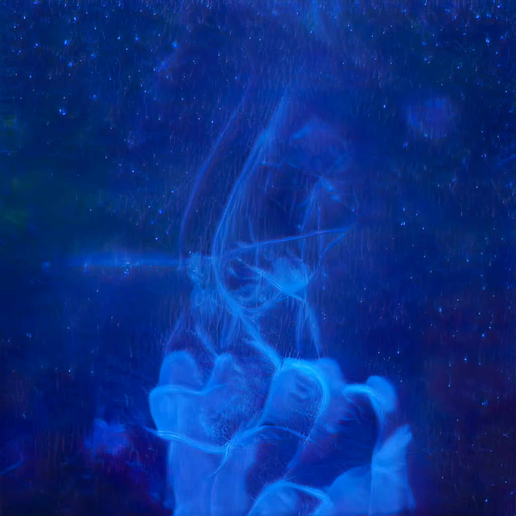 Emergent Finale 00169