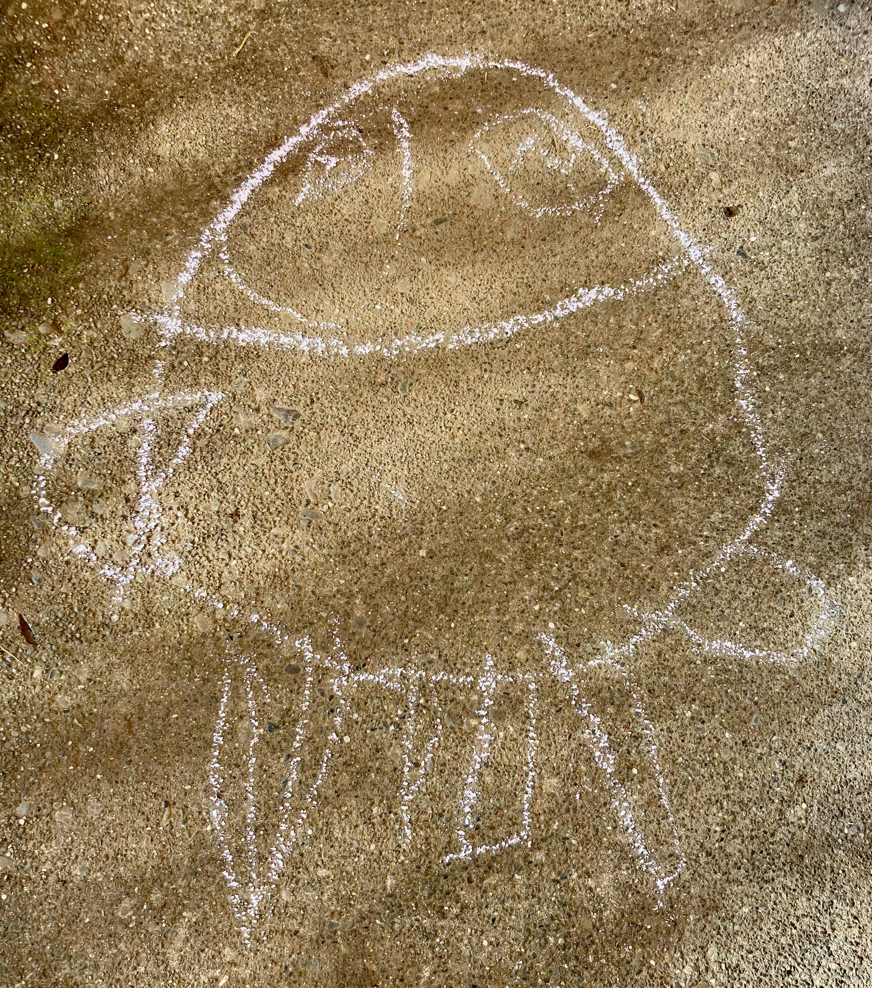 Pinchy Crab 