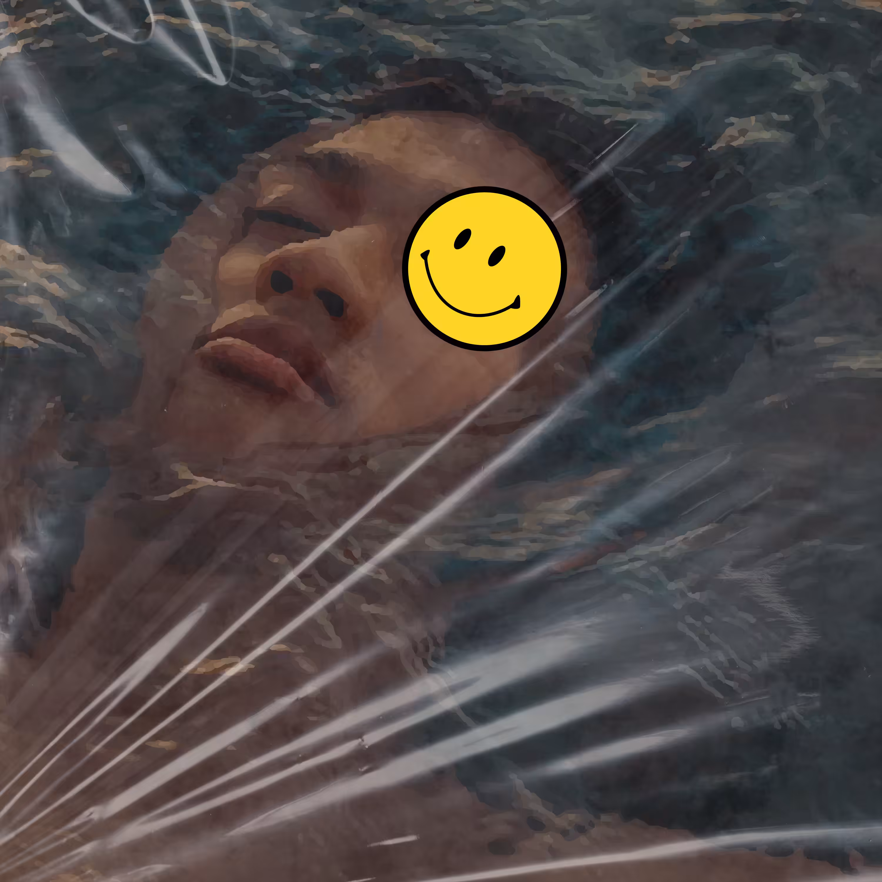 the renaissance of smile, movement no ii.