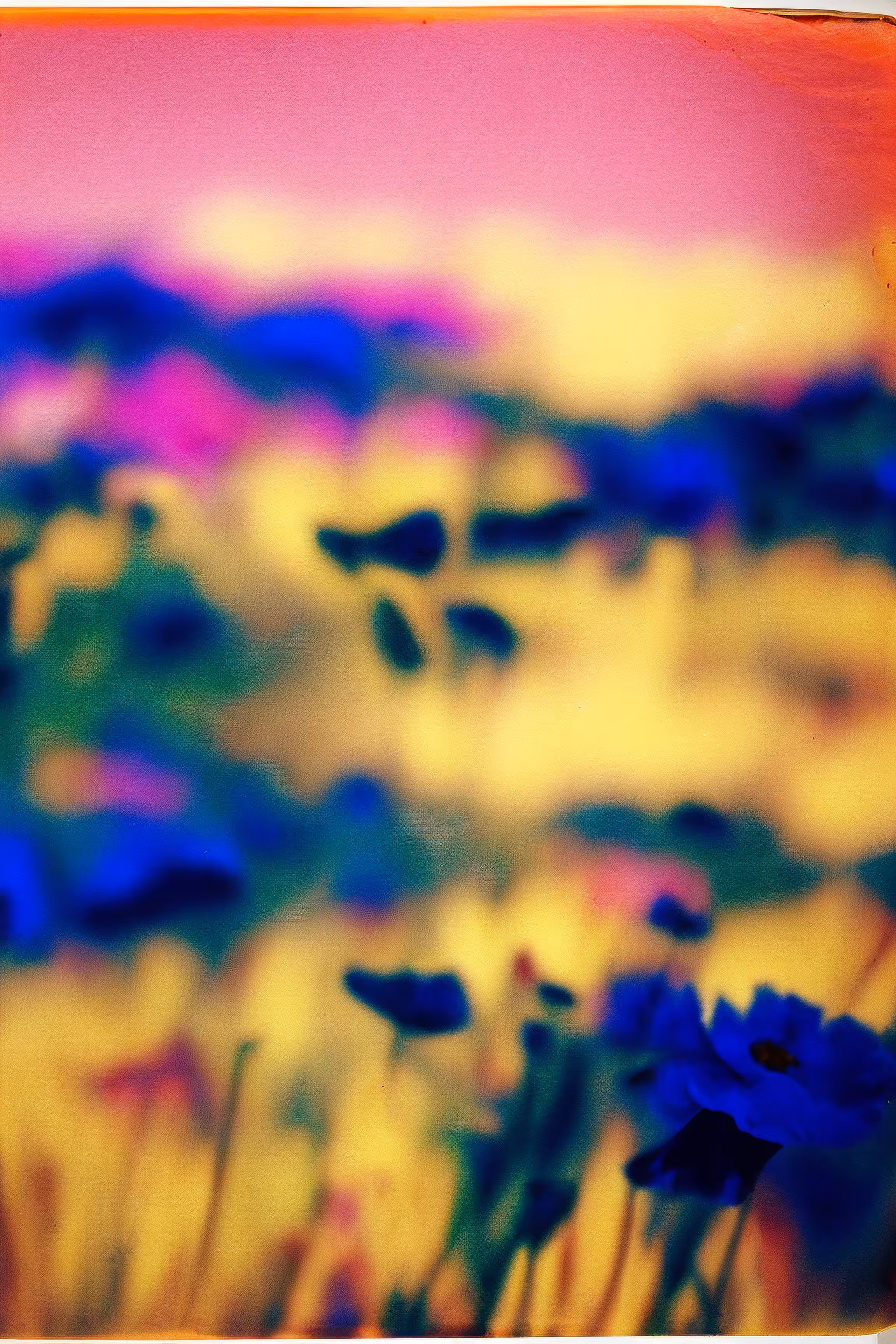 Utopia Found #39