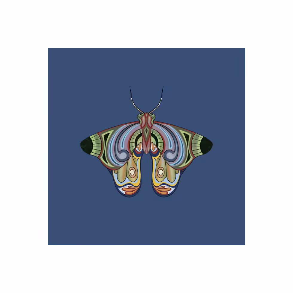 The Moth Experiment  #33