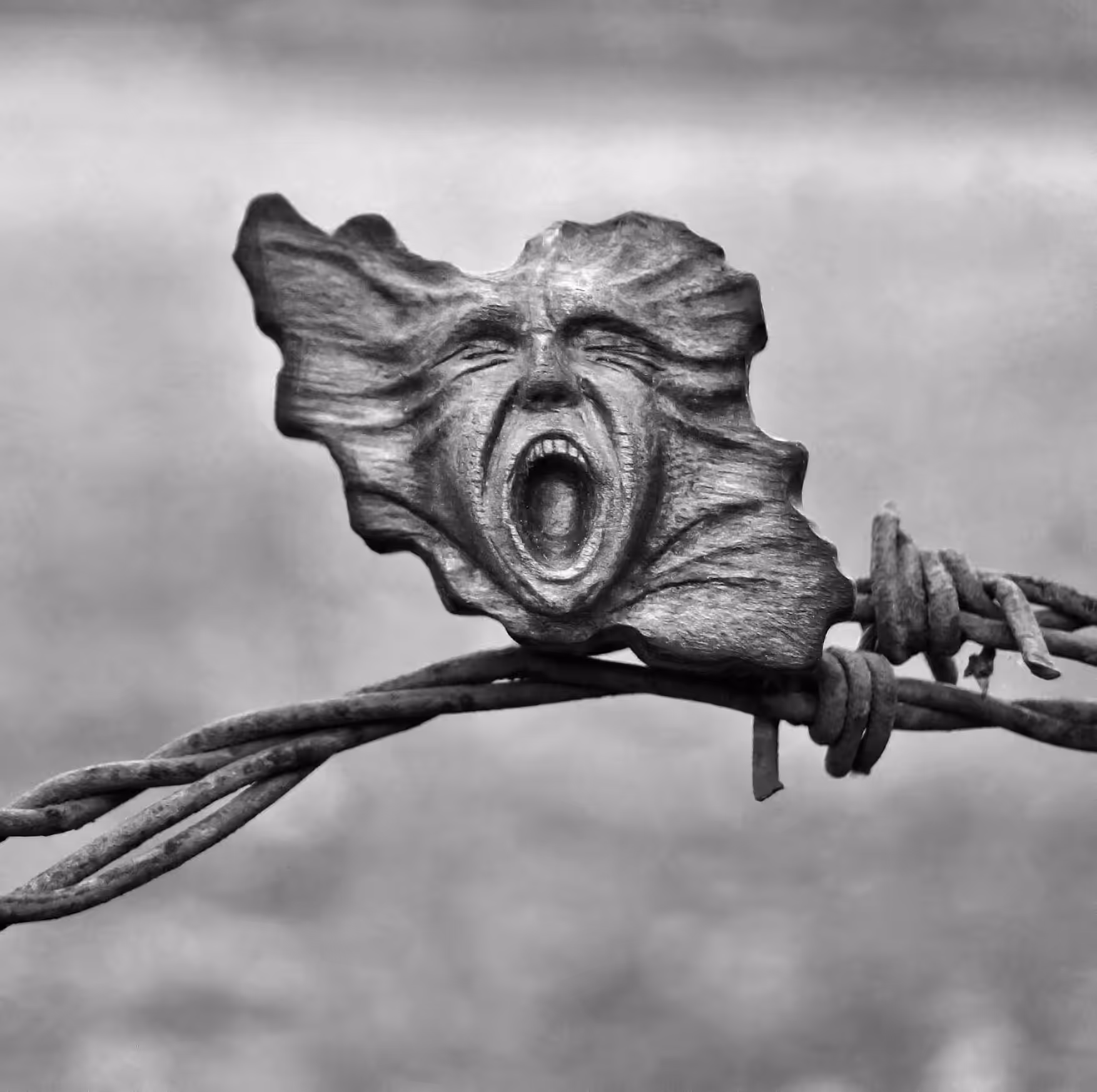Iran's cry