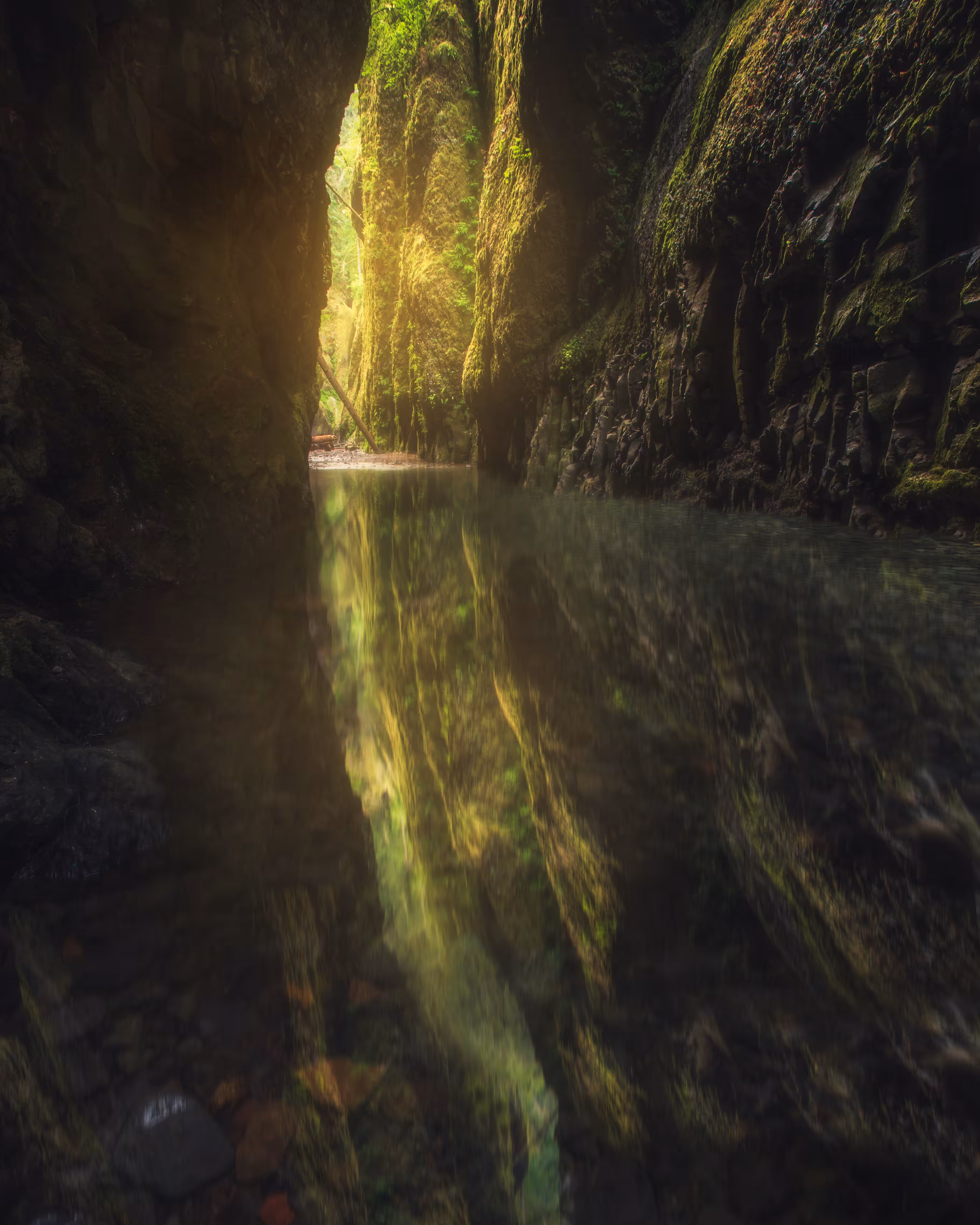 Reflections of the Past