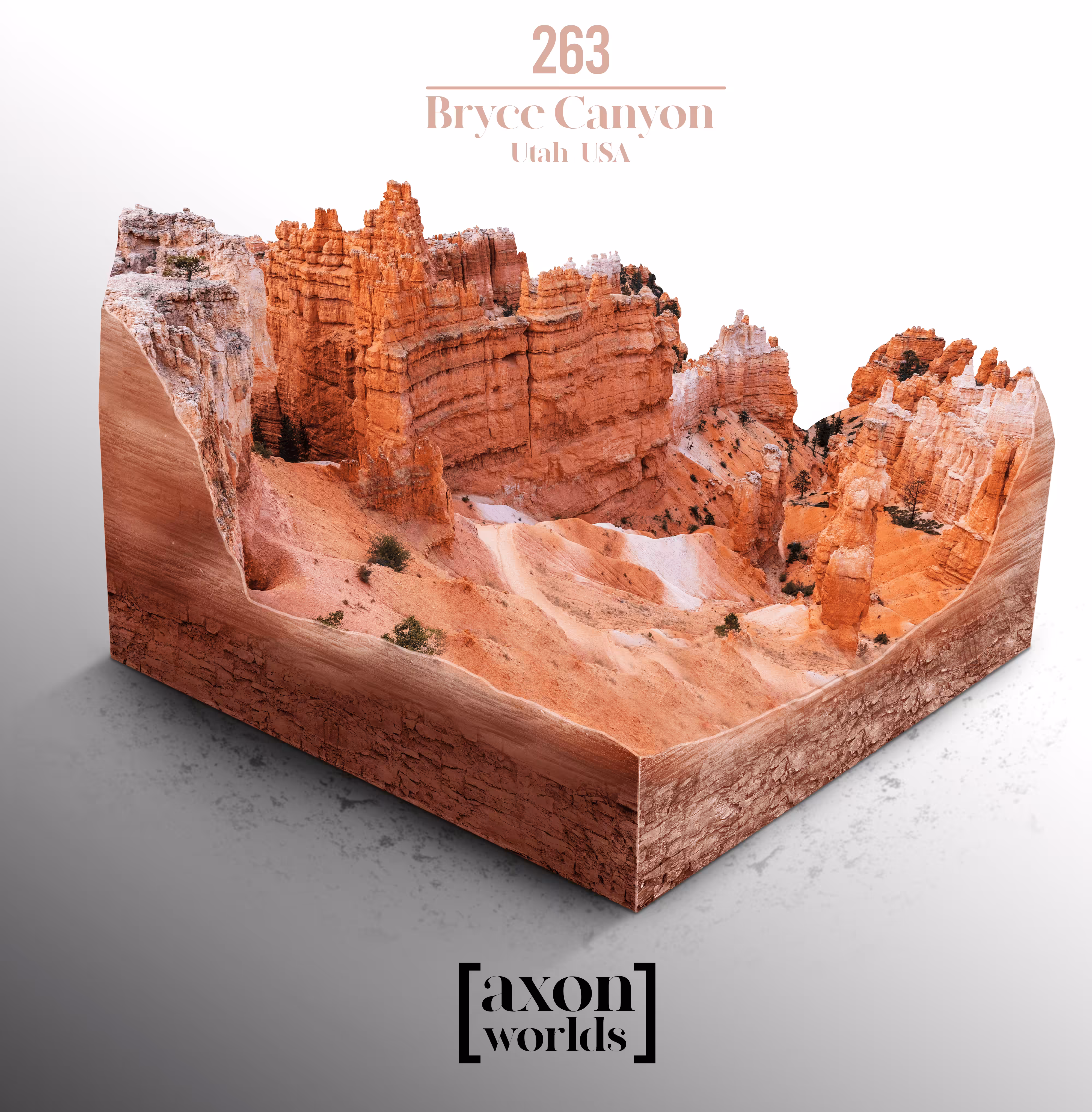 AXON WORLD | 263/1423 | BRYCE CANYON | UTAH | USA | MICRO WORLD