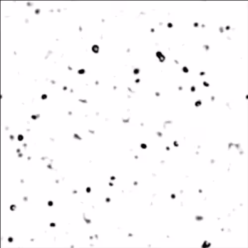 non-equilibrium bubbles: 6