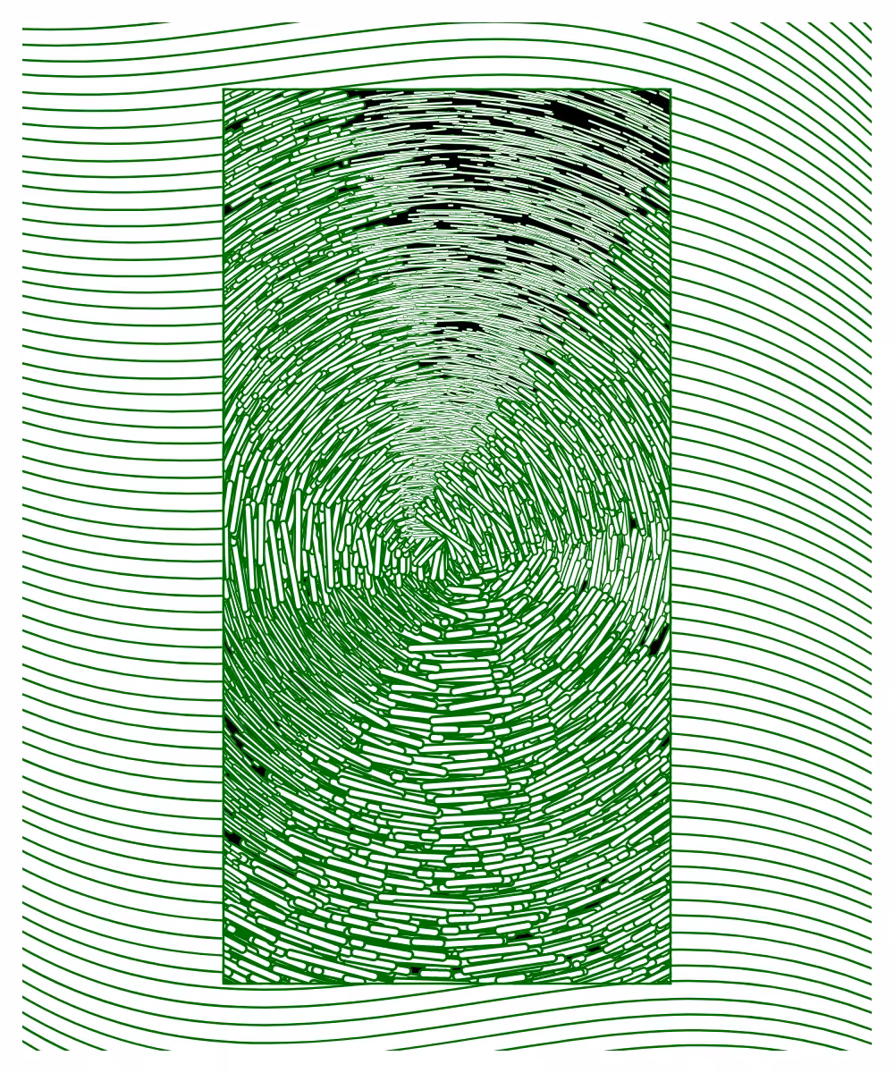 Daily experiments 08.02.2024 #16