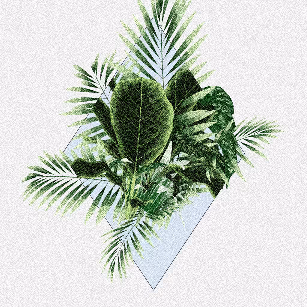 Botany #47