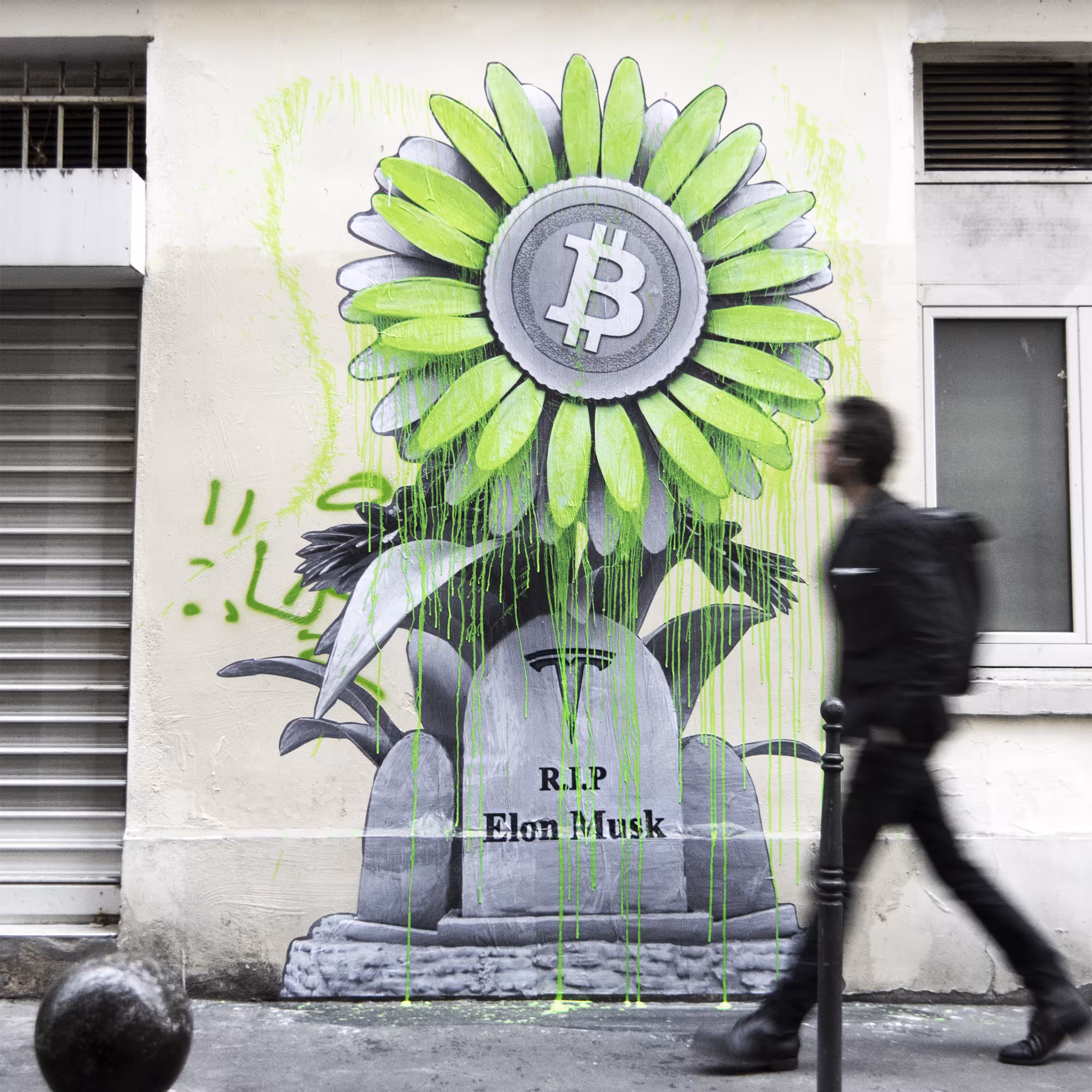 BTC Flower Vs Elon