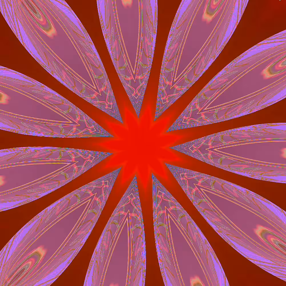 Bloom