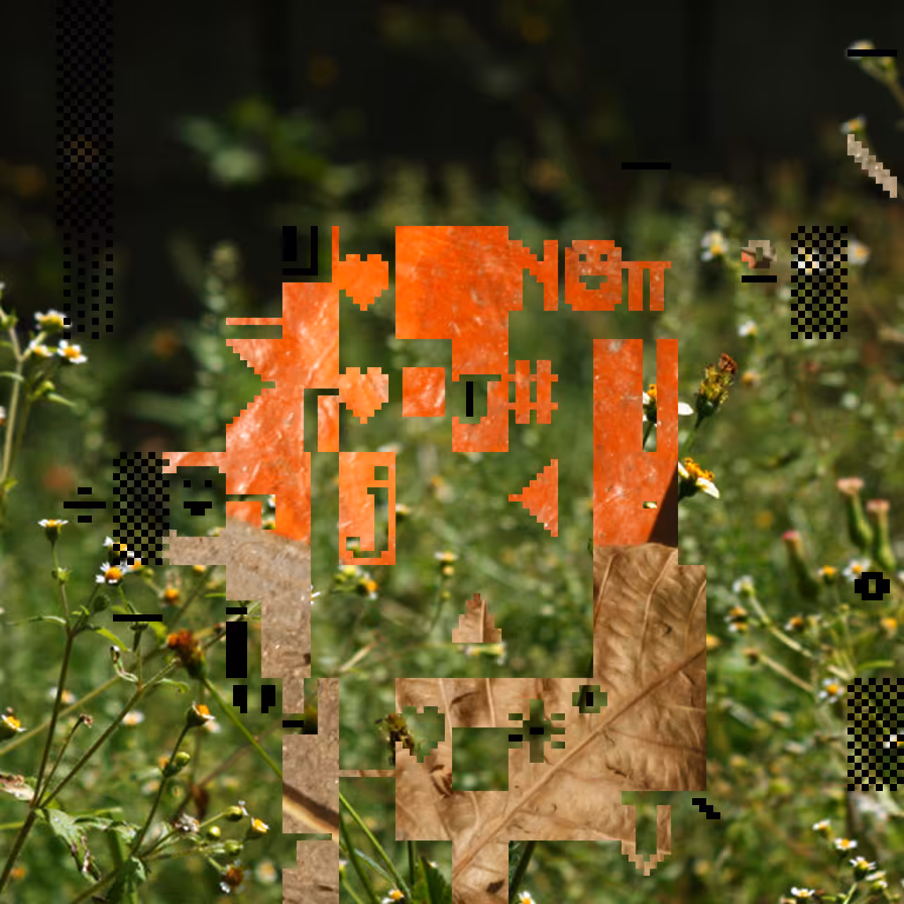 PhotoDOSpunk #10