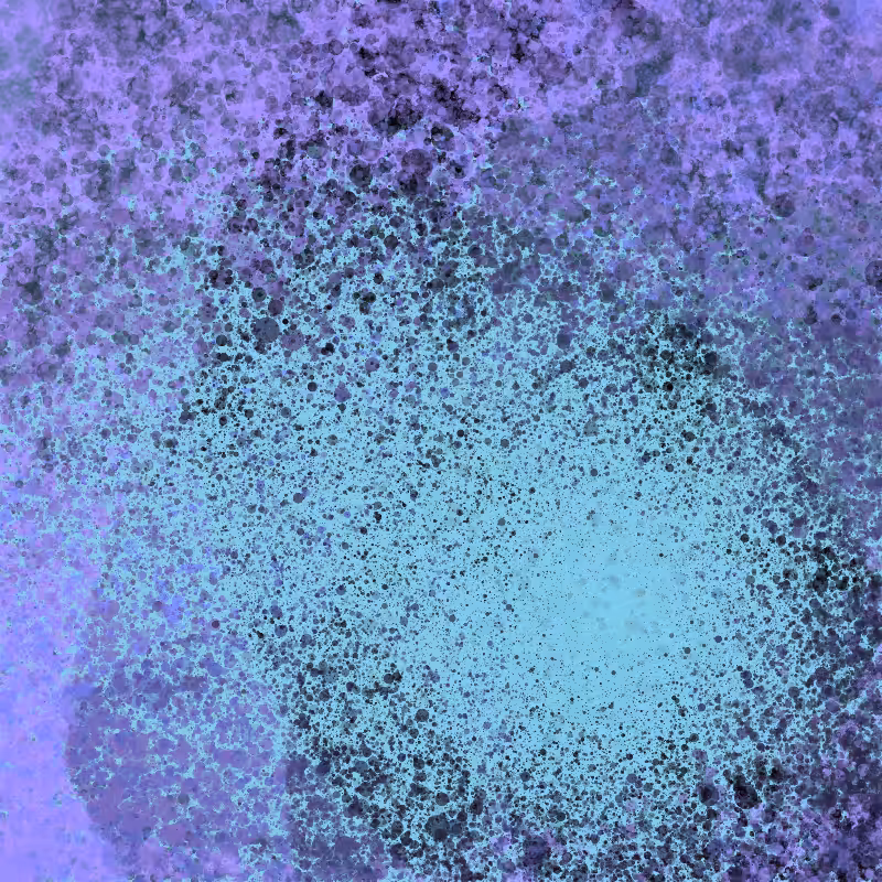Enfold #18
