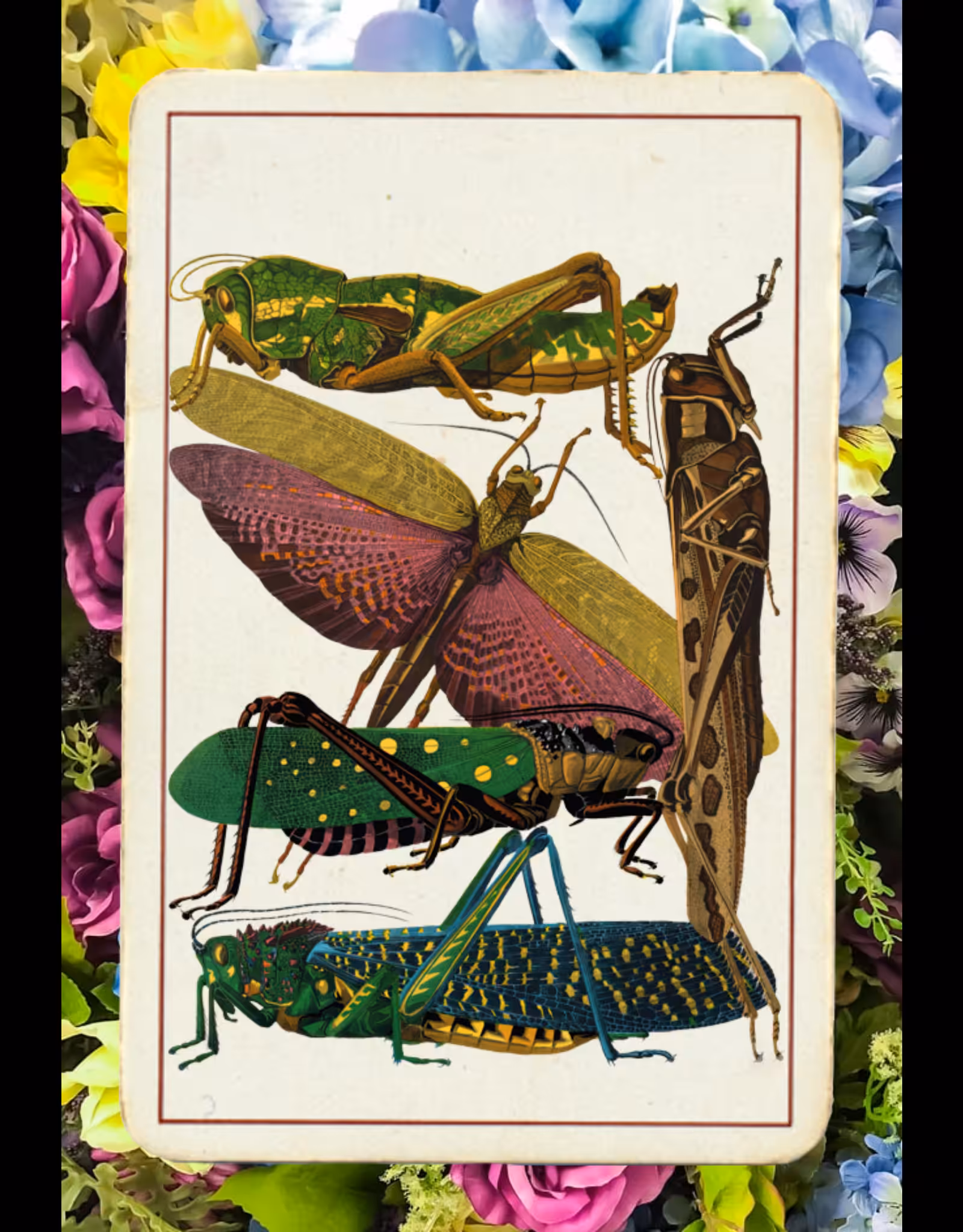 Paper Bugs #12