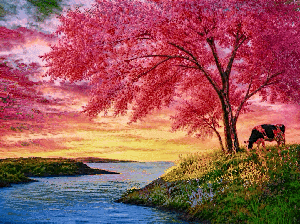 The Shore of Pink Peace