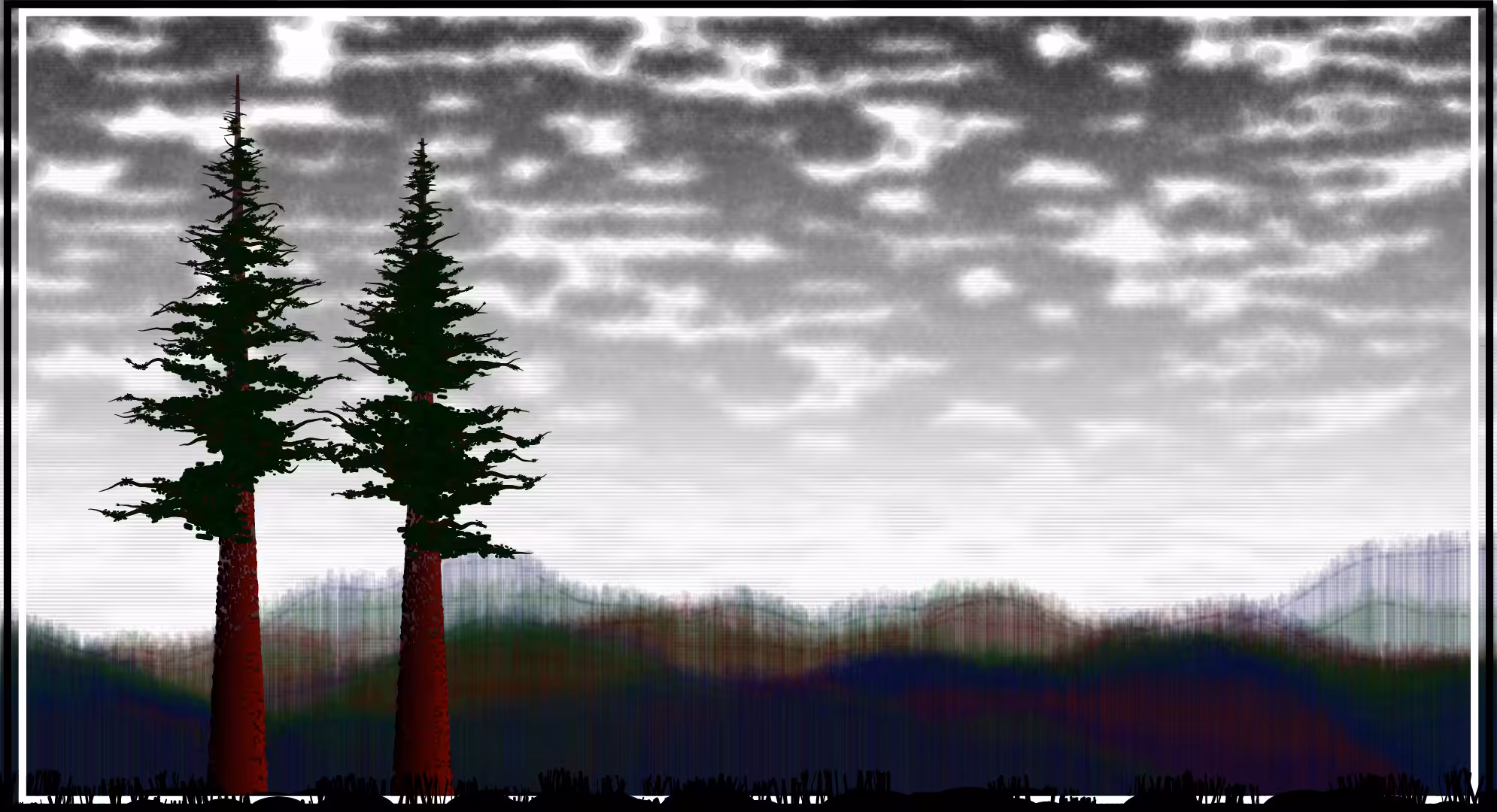 Sequoias #21