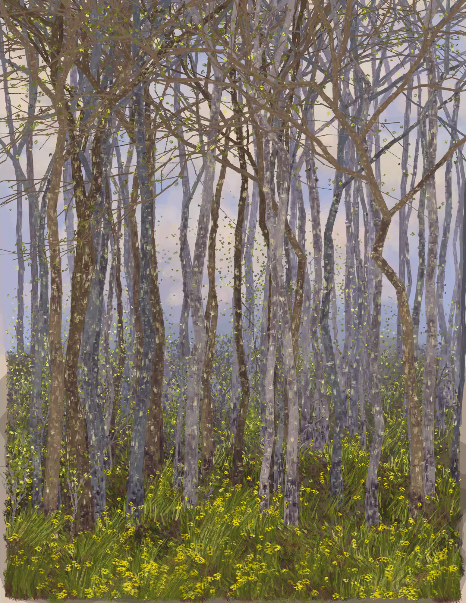 Deep Forest #201