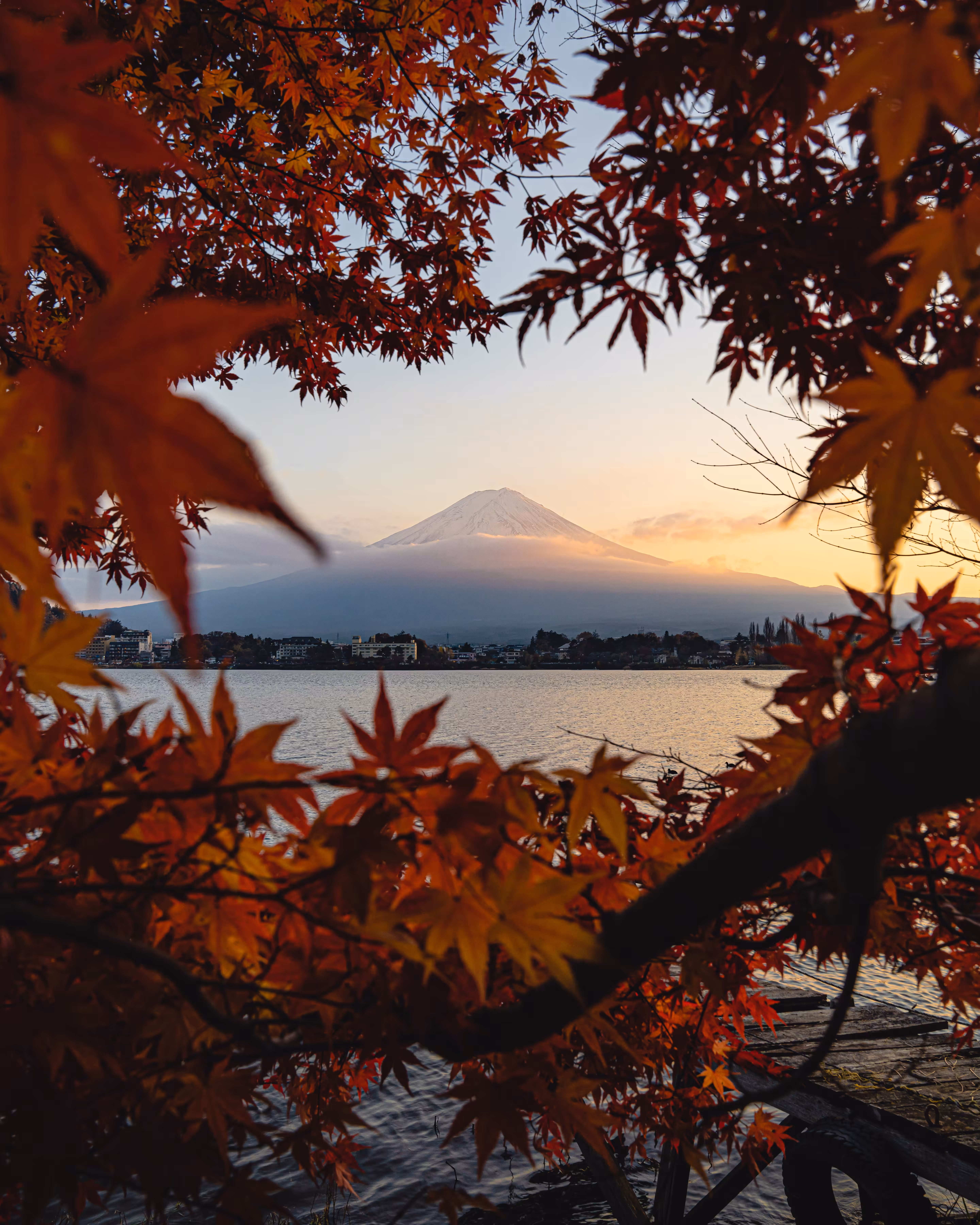 Frame of Fall Foliage