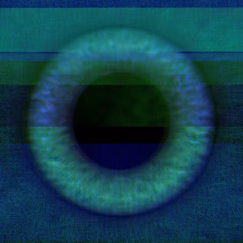 Distorted Vision #51