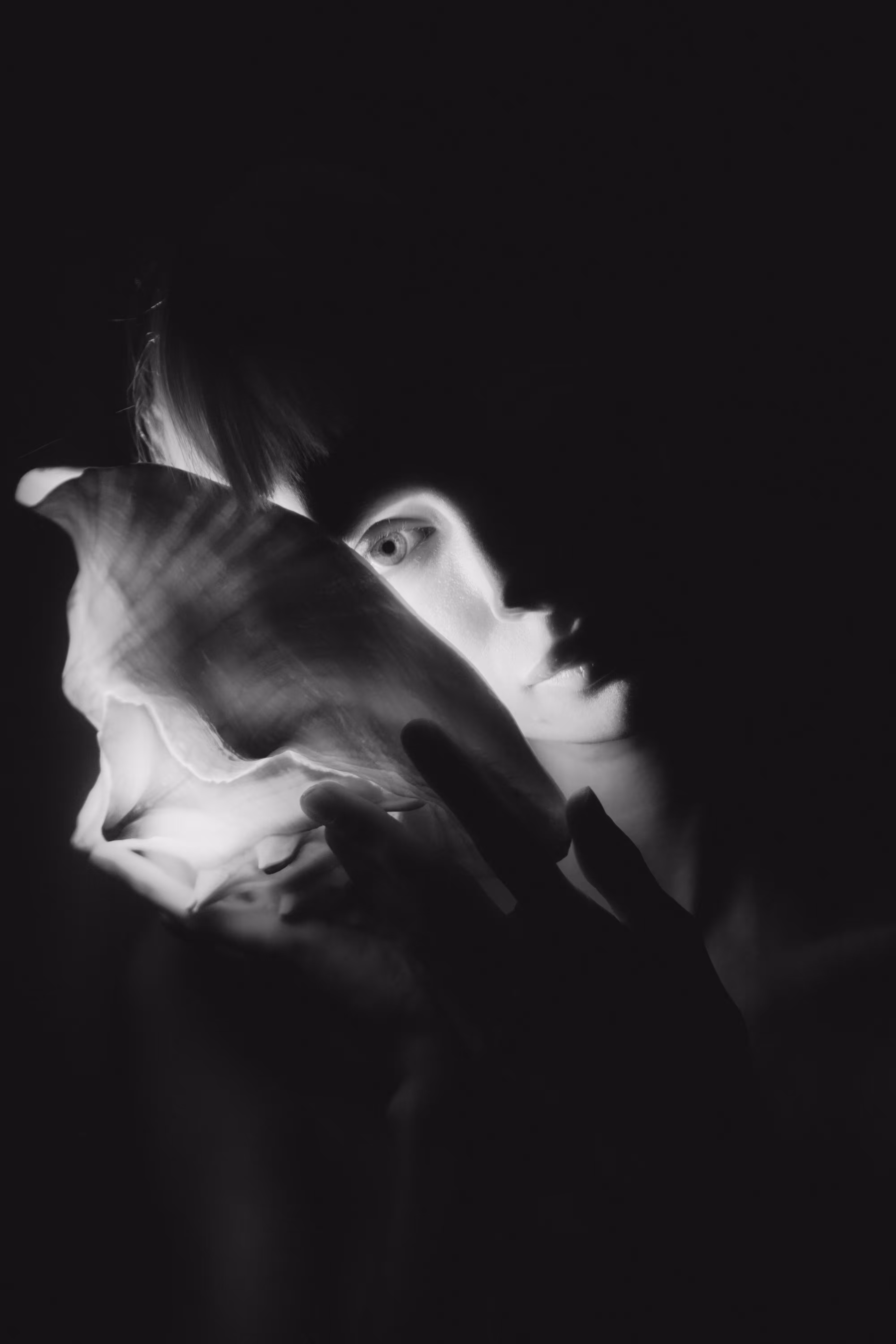Whisper of the Shell