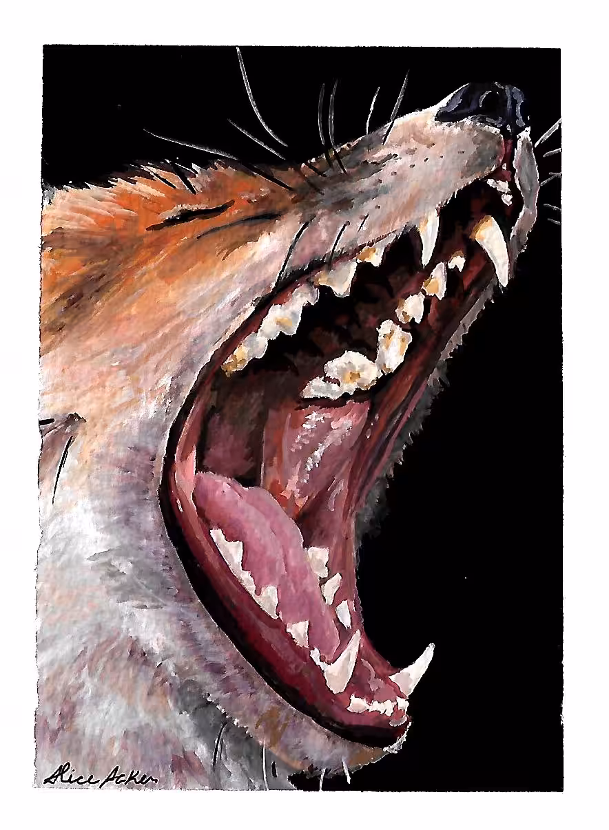 oral