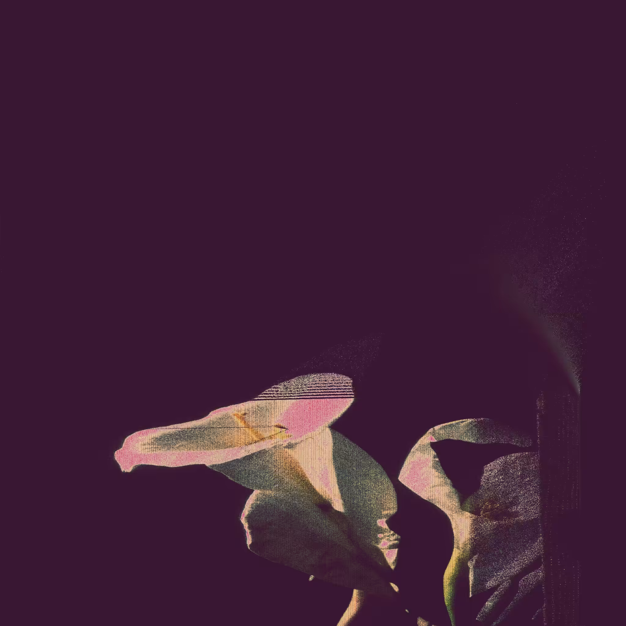 night after night