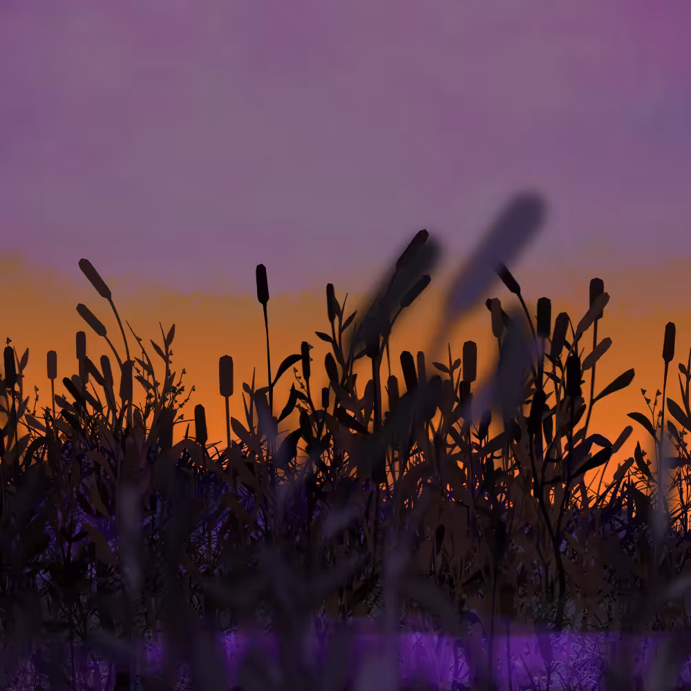 Walk in the field #18