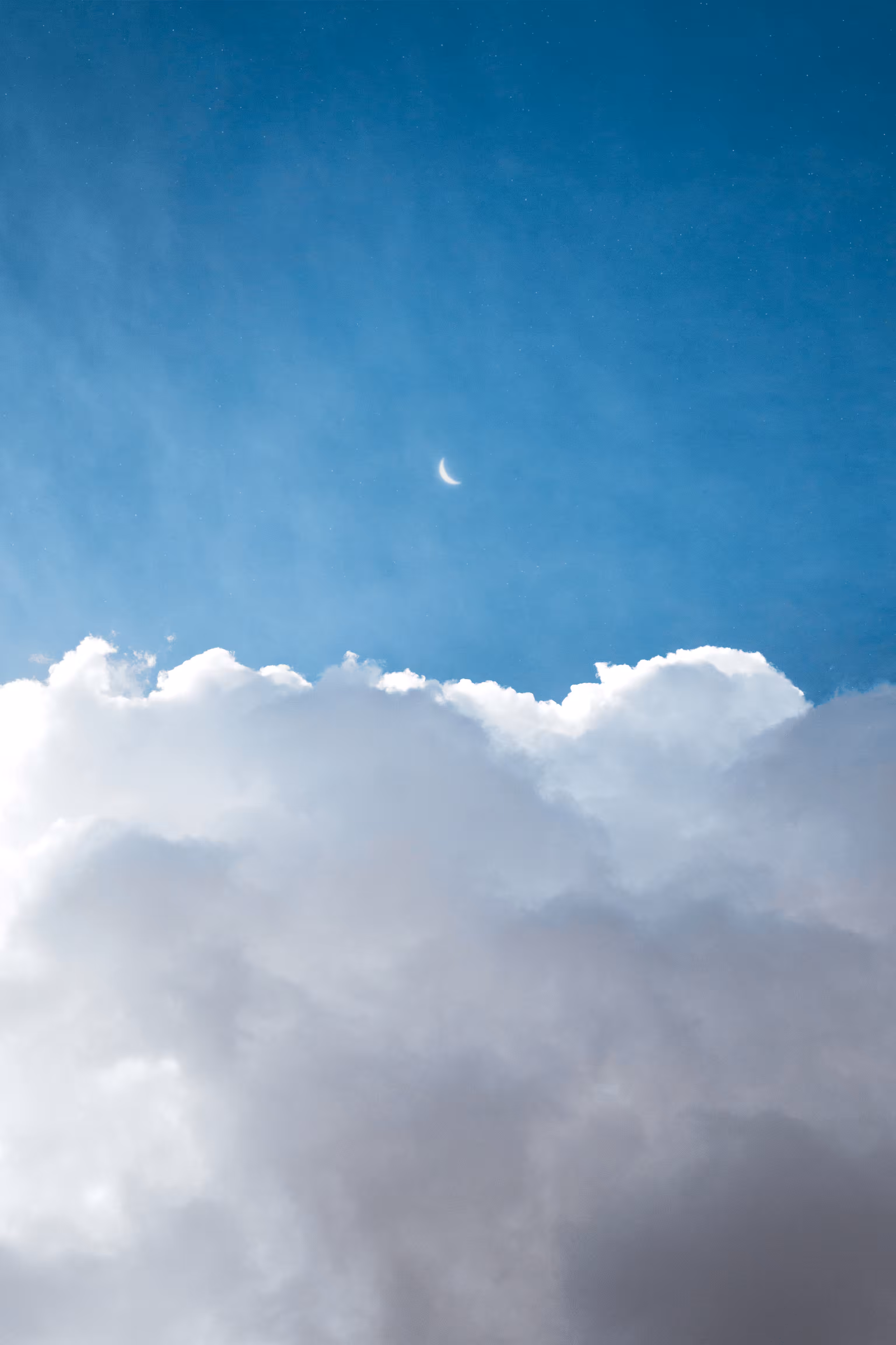 My Moons and Stars #82