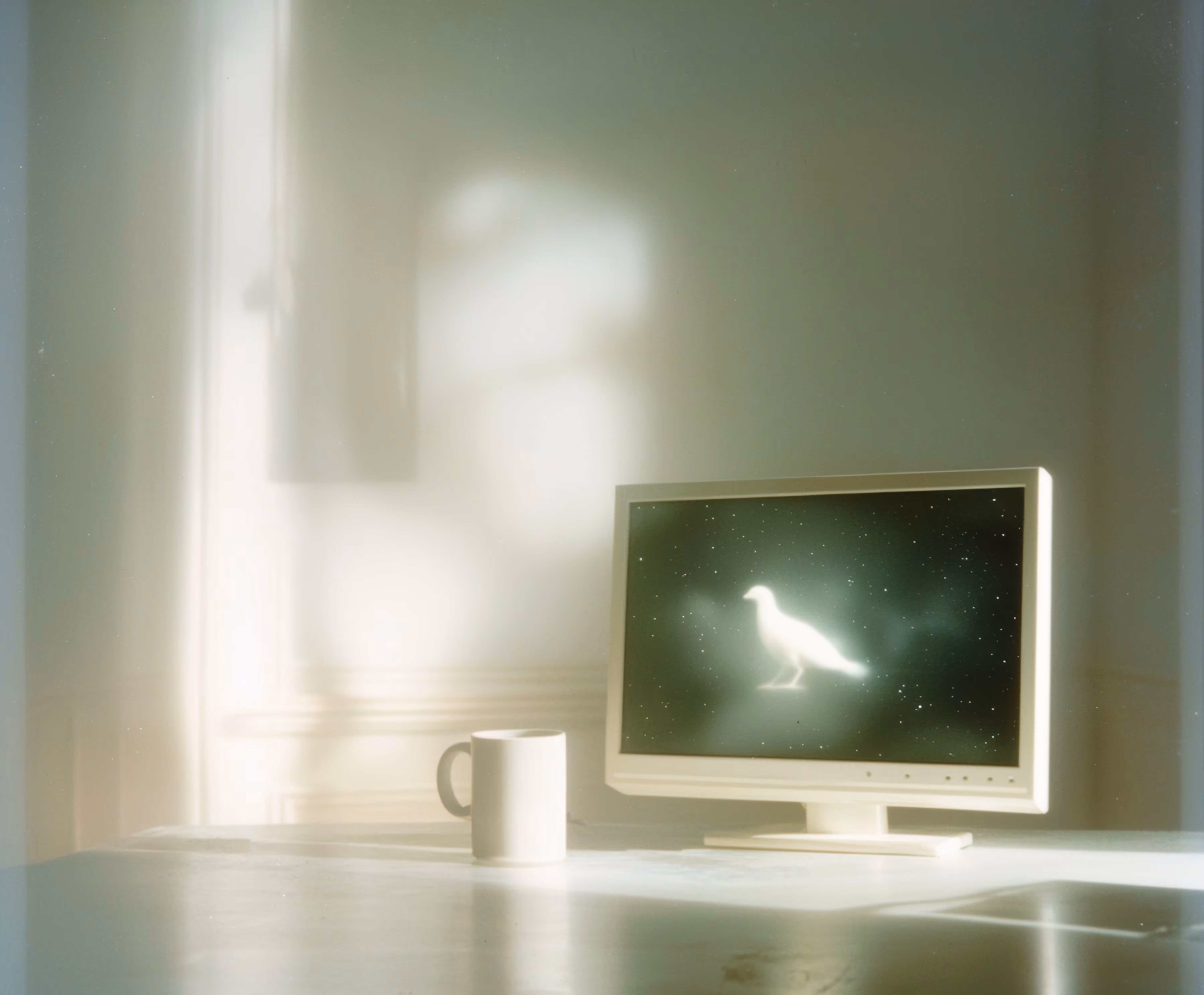 A Bird Trapped In Code
