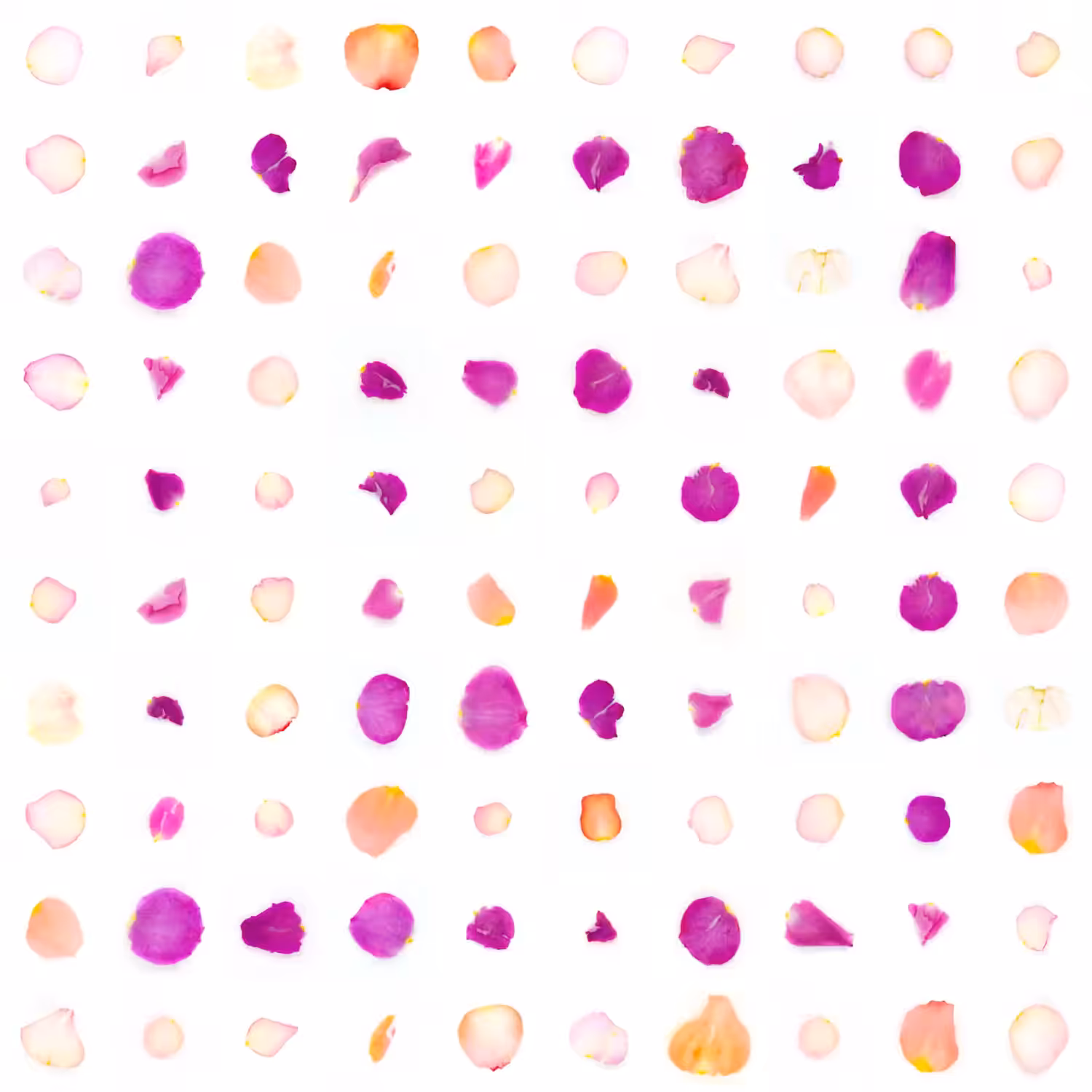 Infinite Petals 10x10#10035