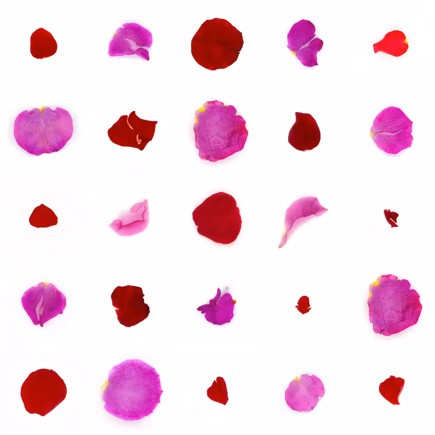 Infinite Petals 5x5#1950