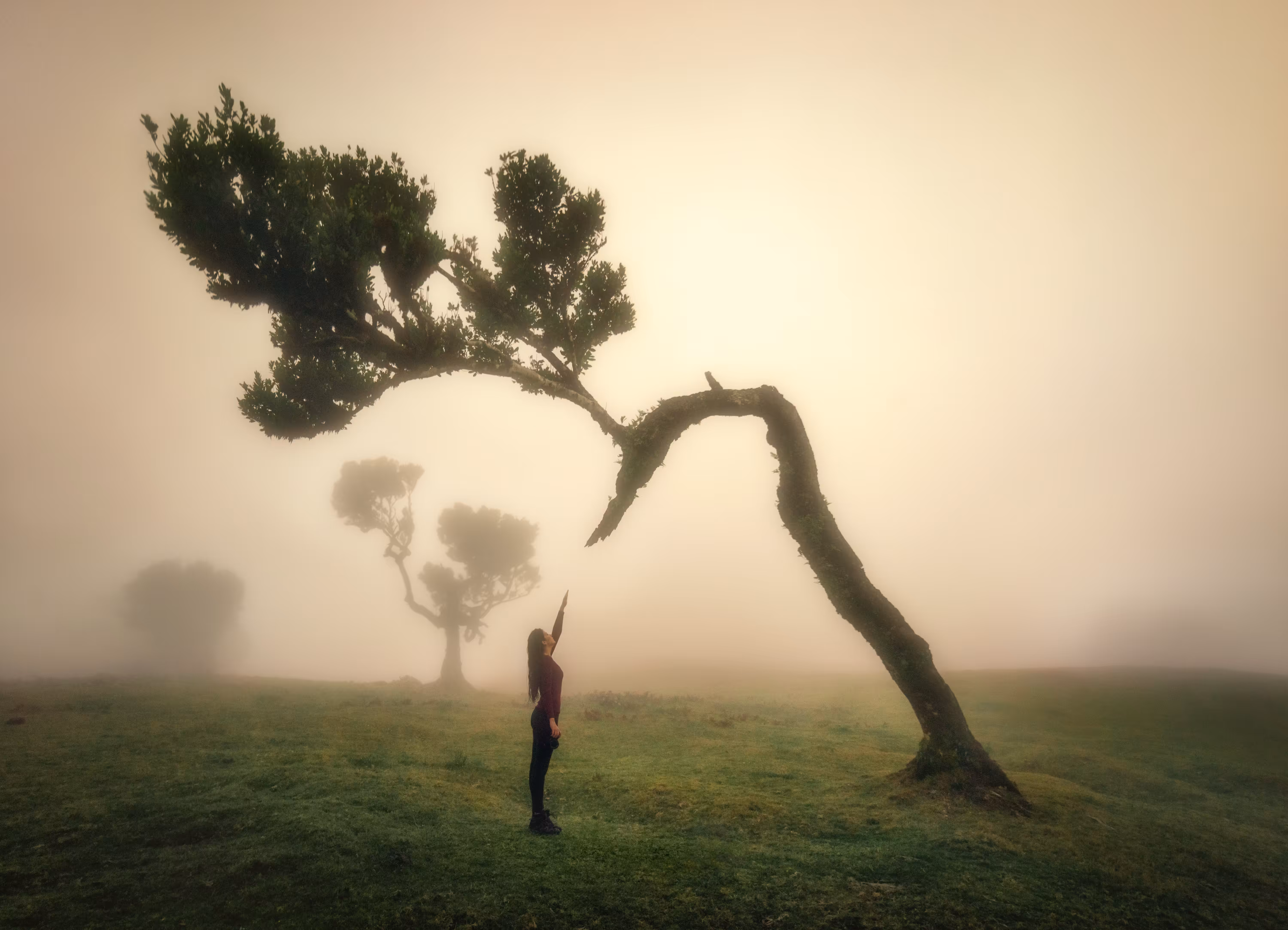 The Forgotten