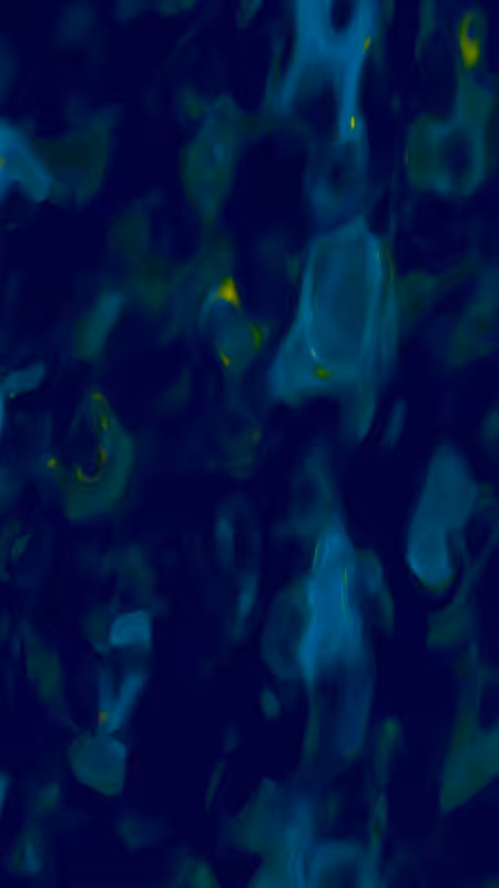 {Lumina} #66
