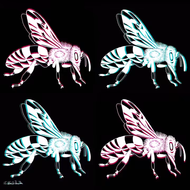 POP ED. BEE