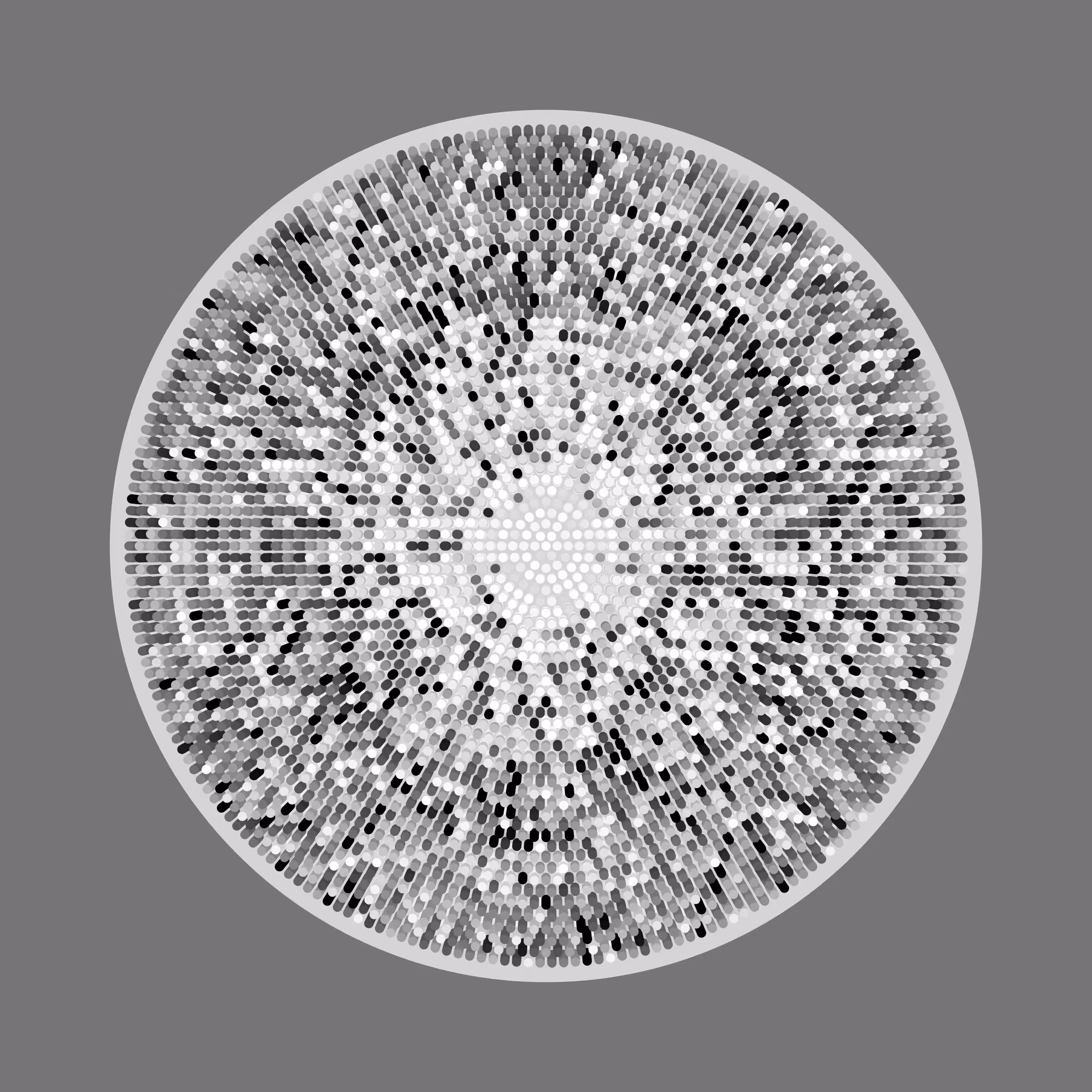 Transitions #3263