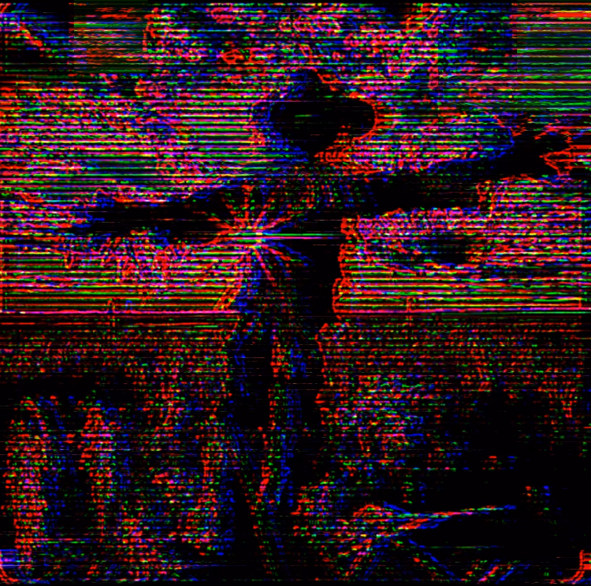 Nature: Sunset scarecrow 