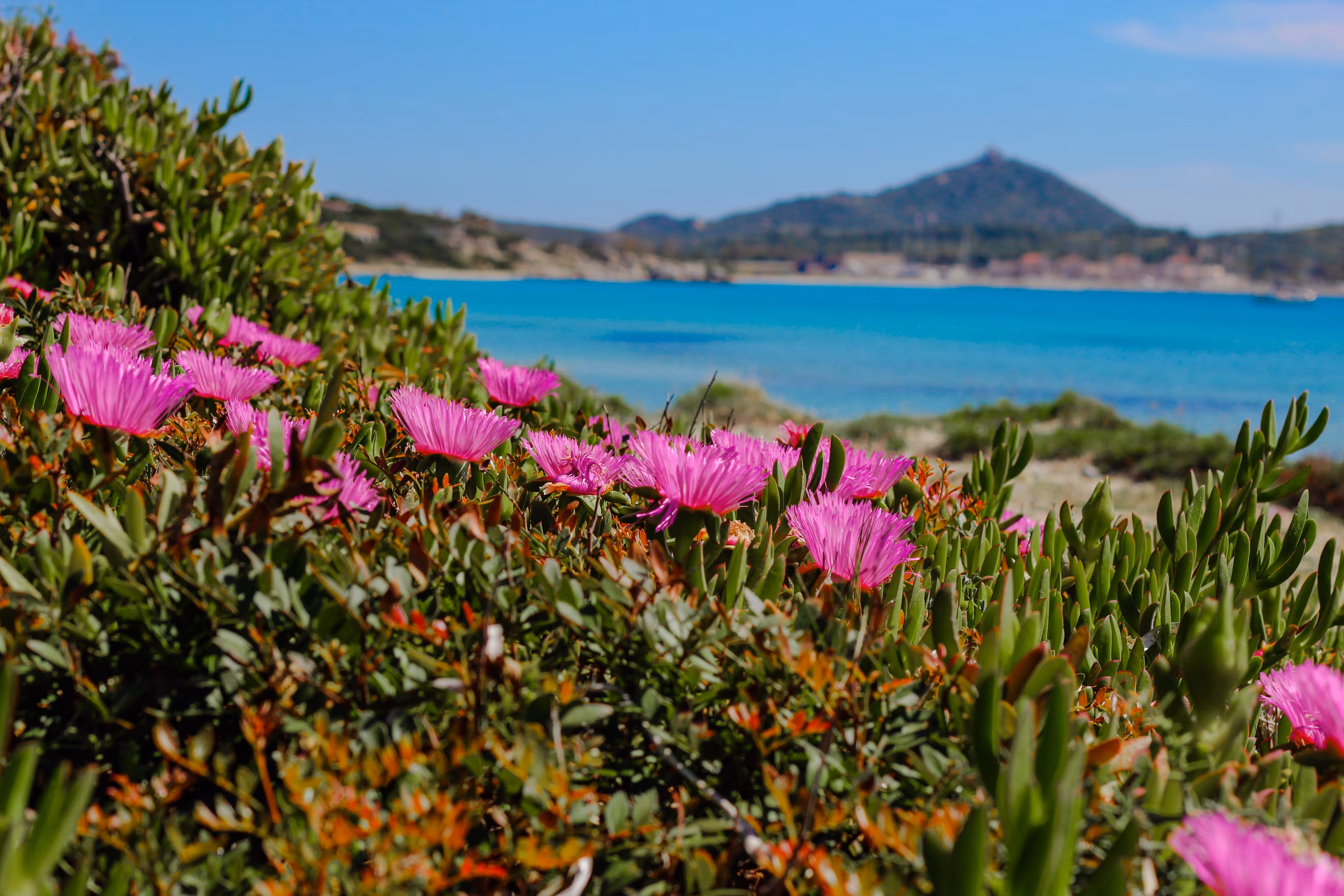 sardegna beach