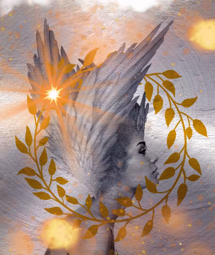 / WHITE ANGEL /