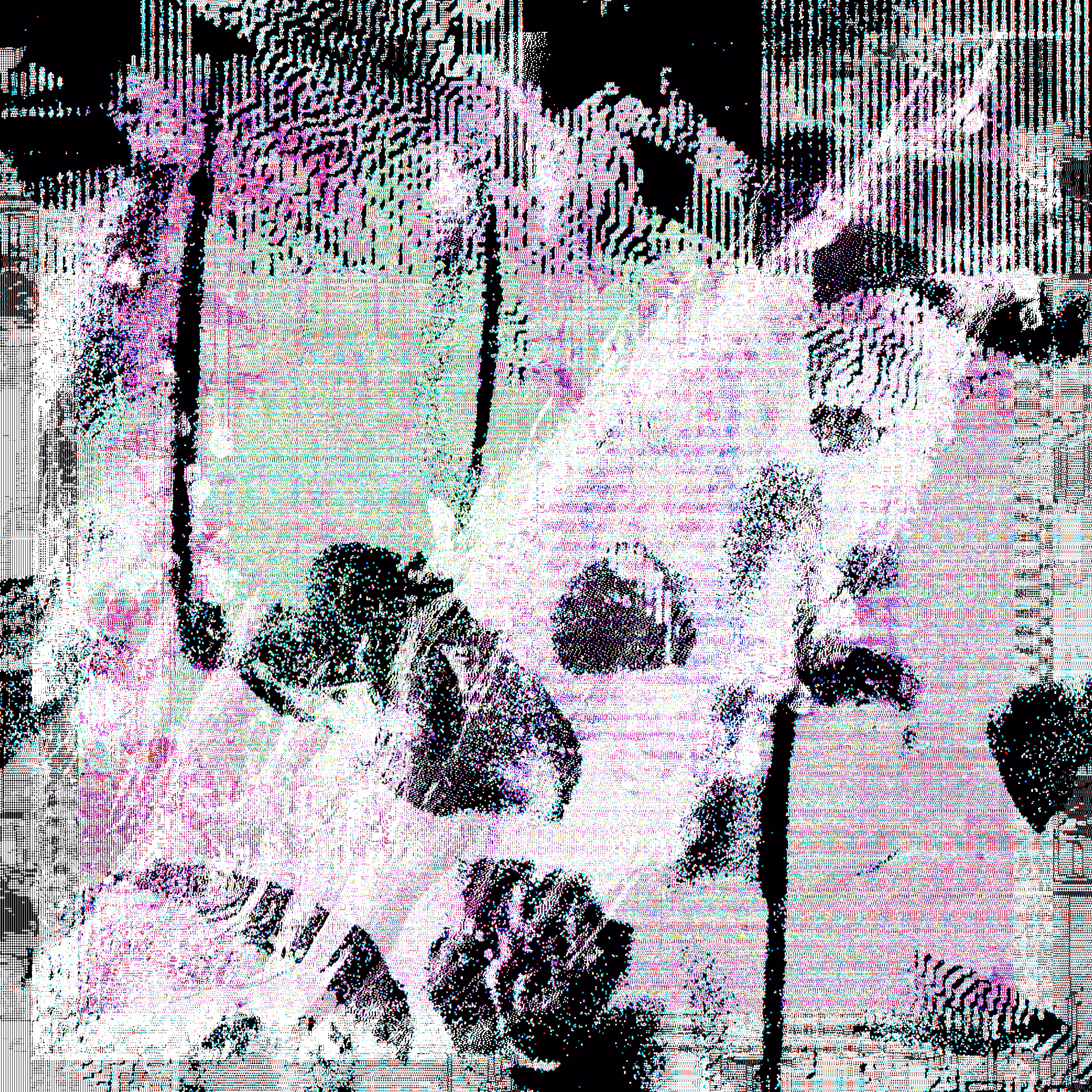 T009